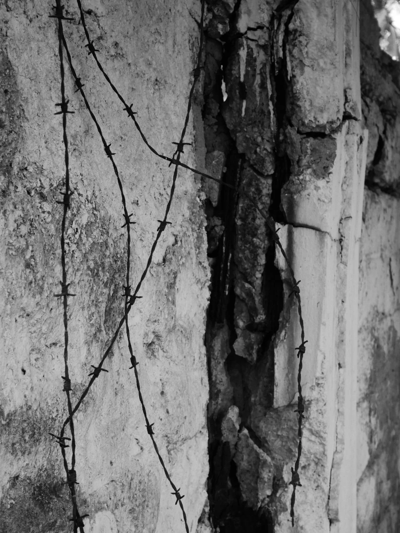 Copy of Barbed Wire Along Wall.jpg