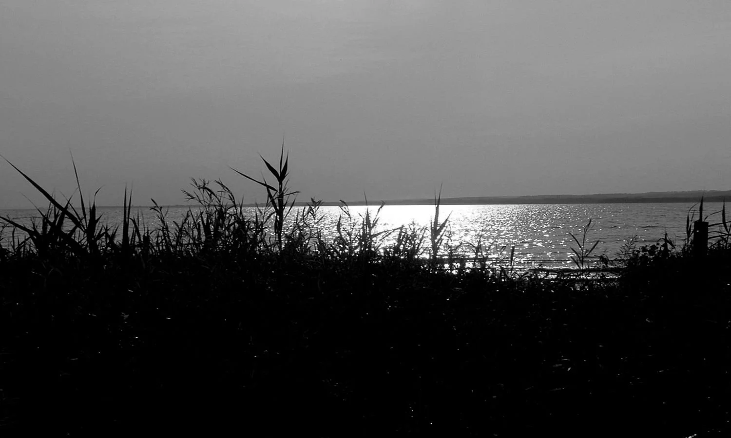 Marsh in Evening.jpg