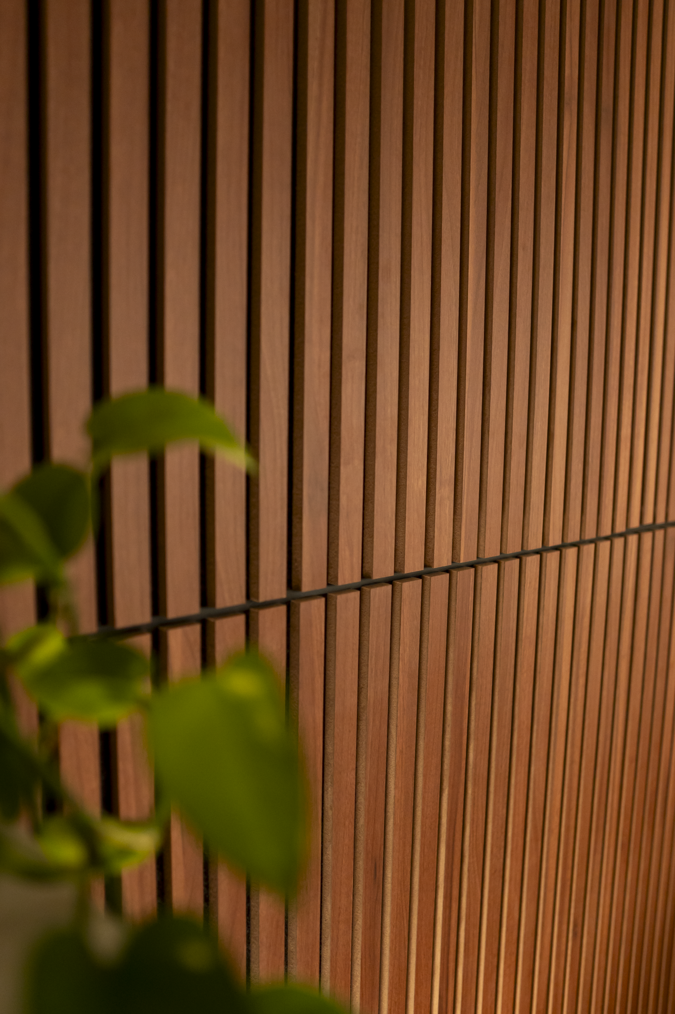 Close-up view of a wooden slat wall with a partially visible green plant in the foreground.