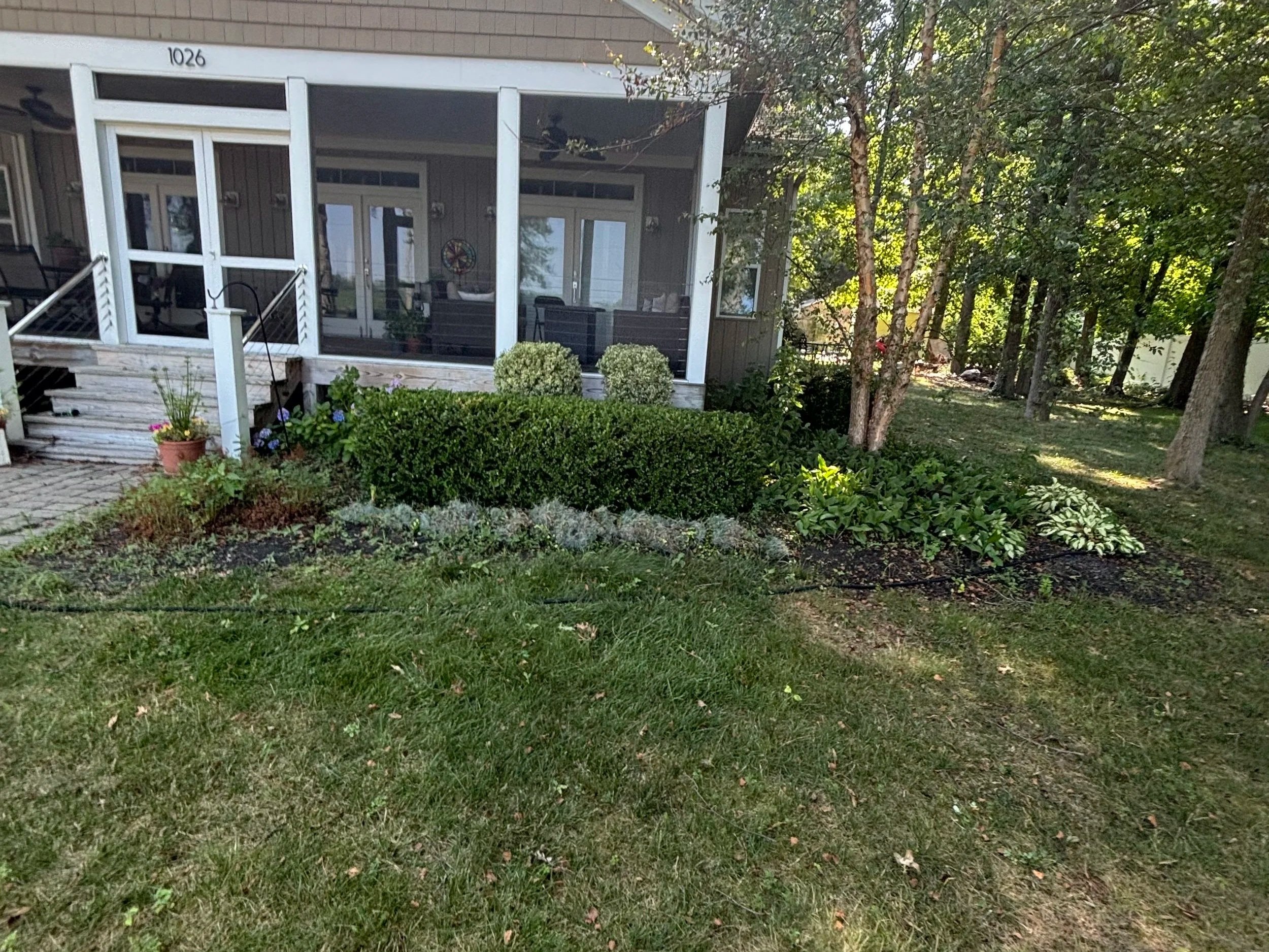After picture of a bushes that boost curb appeal.