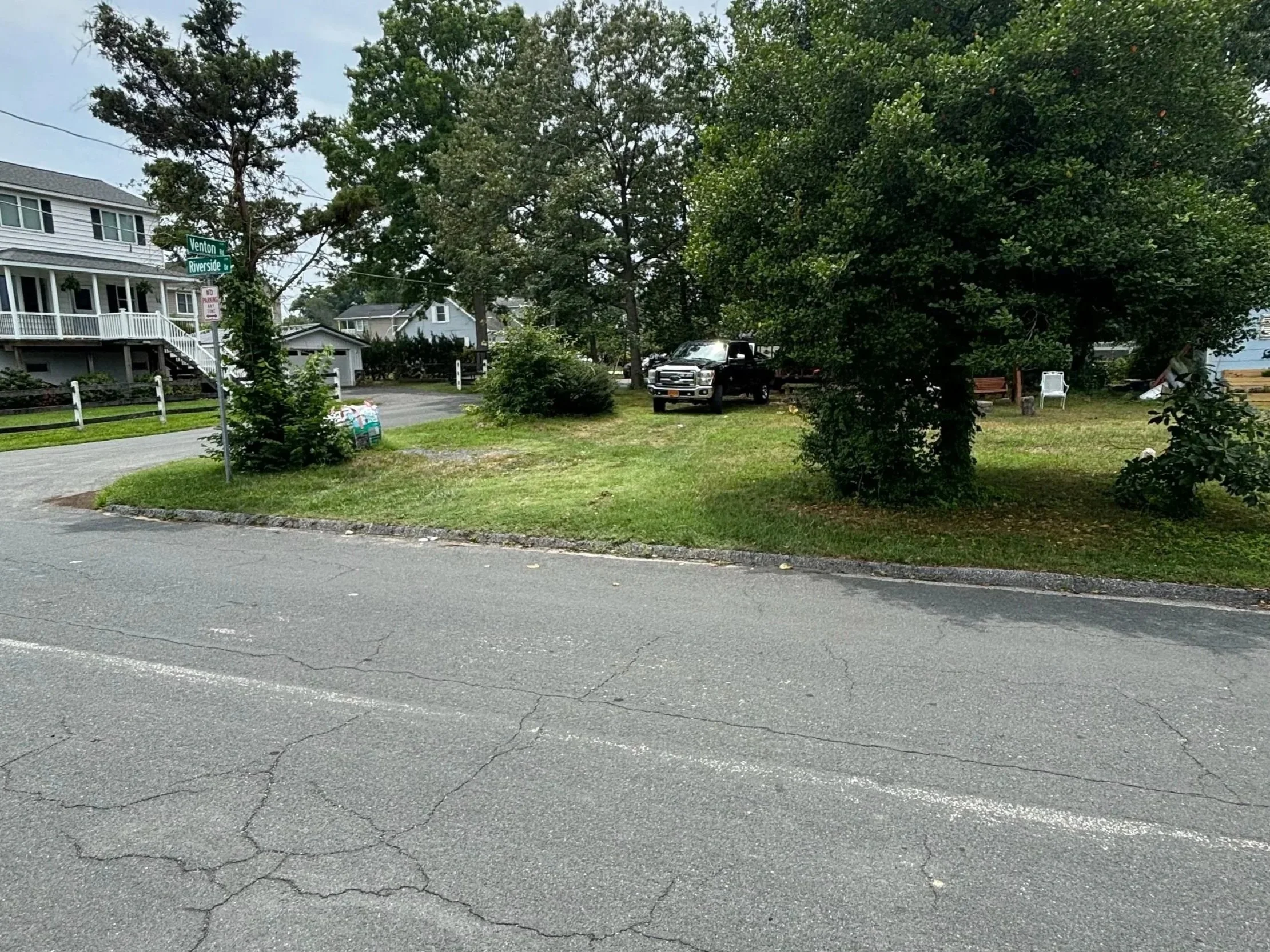 Before pictures of a yard clean up including tree and bush trimming.