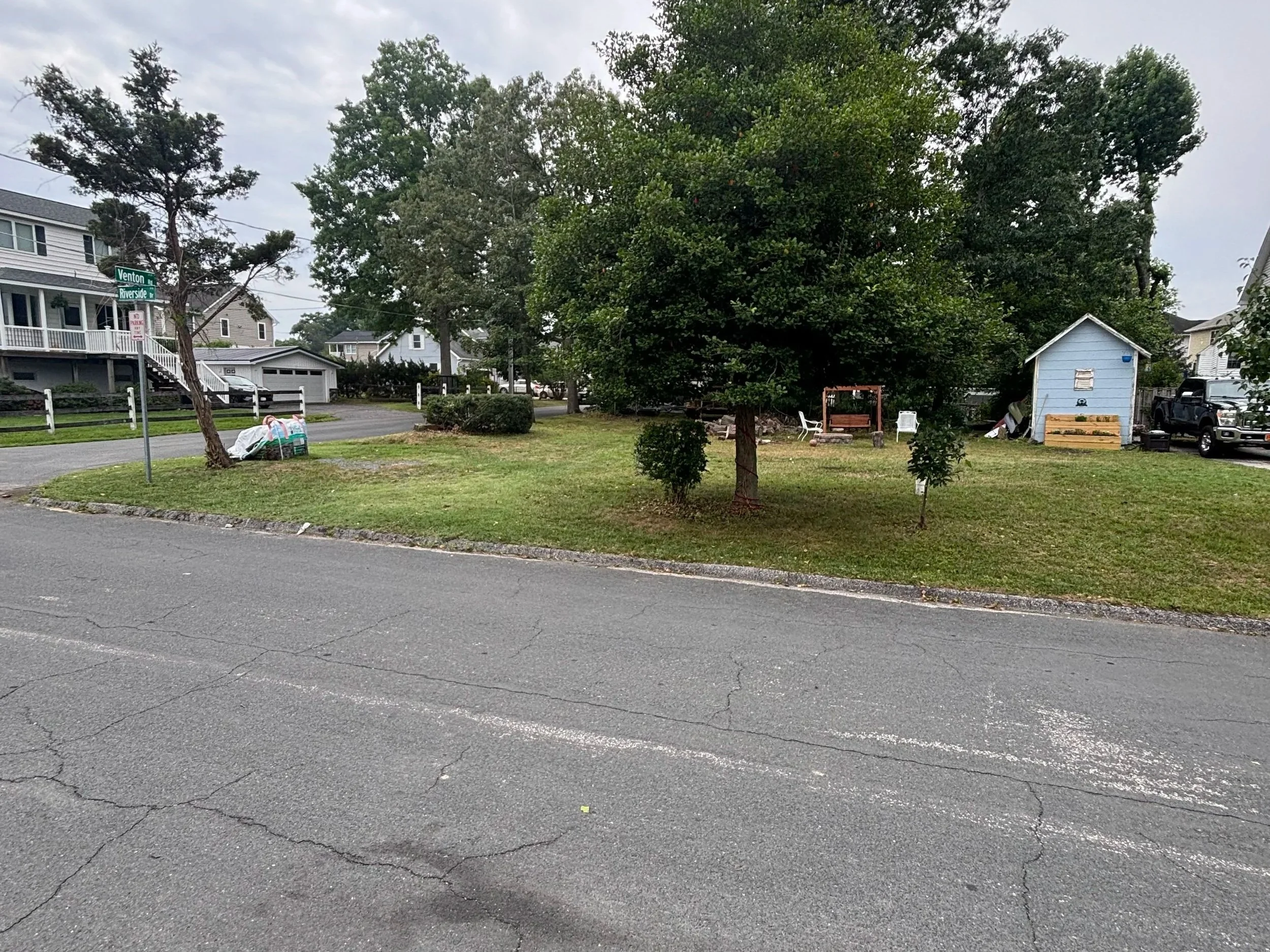 After pictures of a yard clean up including tree and bush trimming.