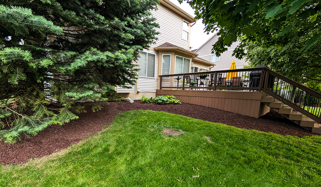 Picture of a fresh mulch installation