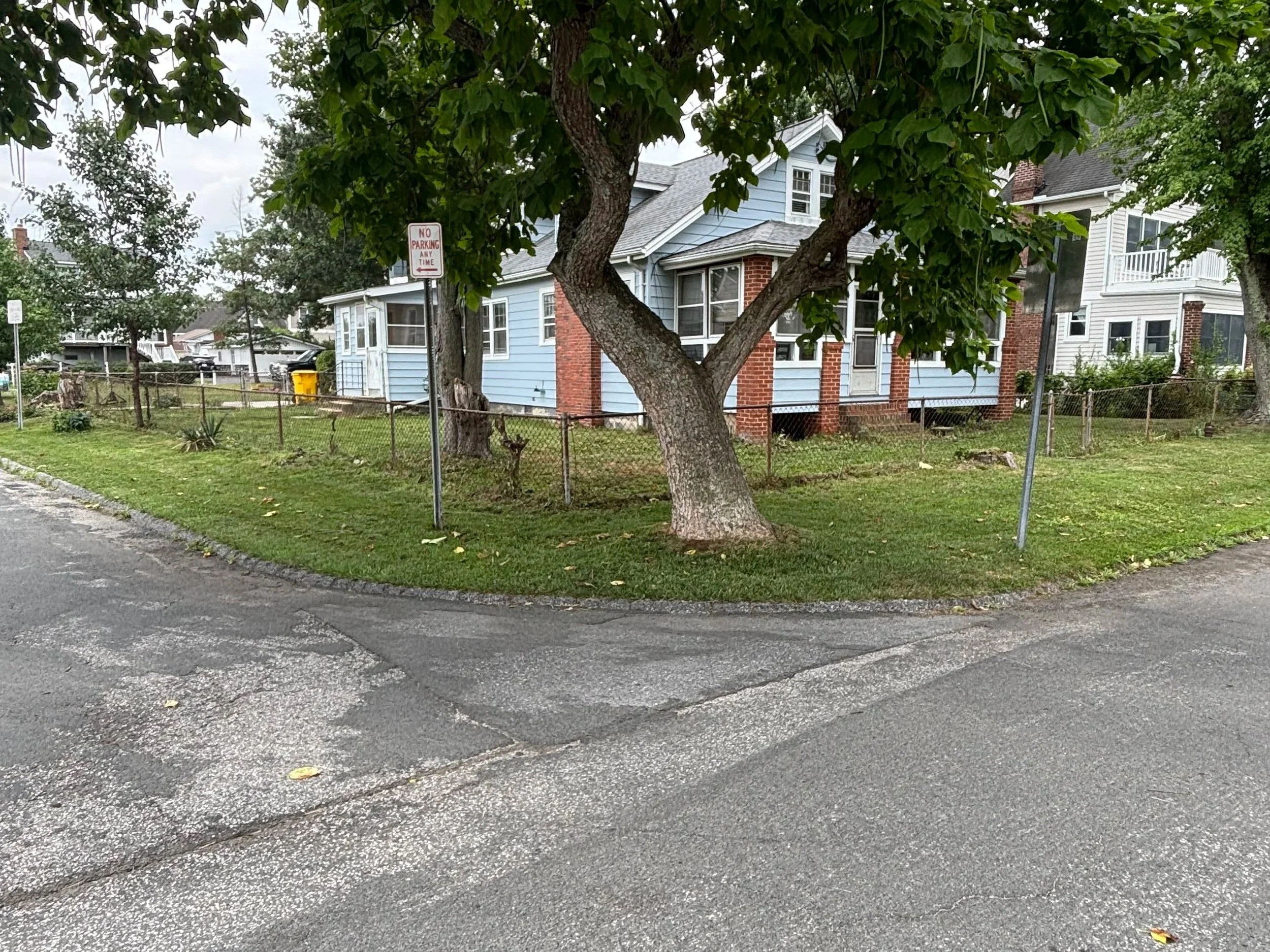 After pictures of a yard clean up including vine removal off this chainlink fence.