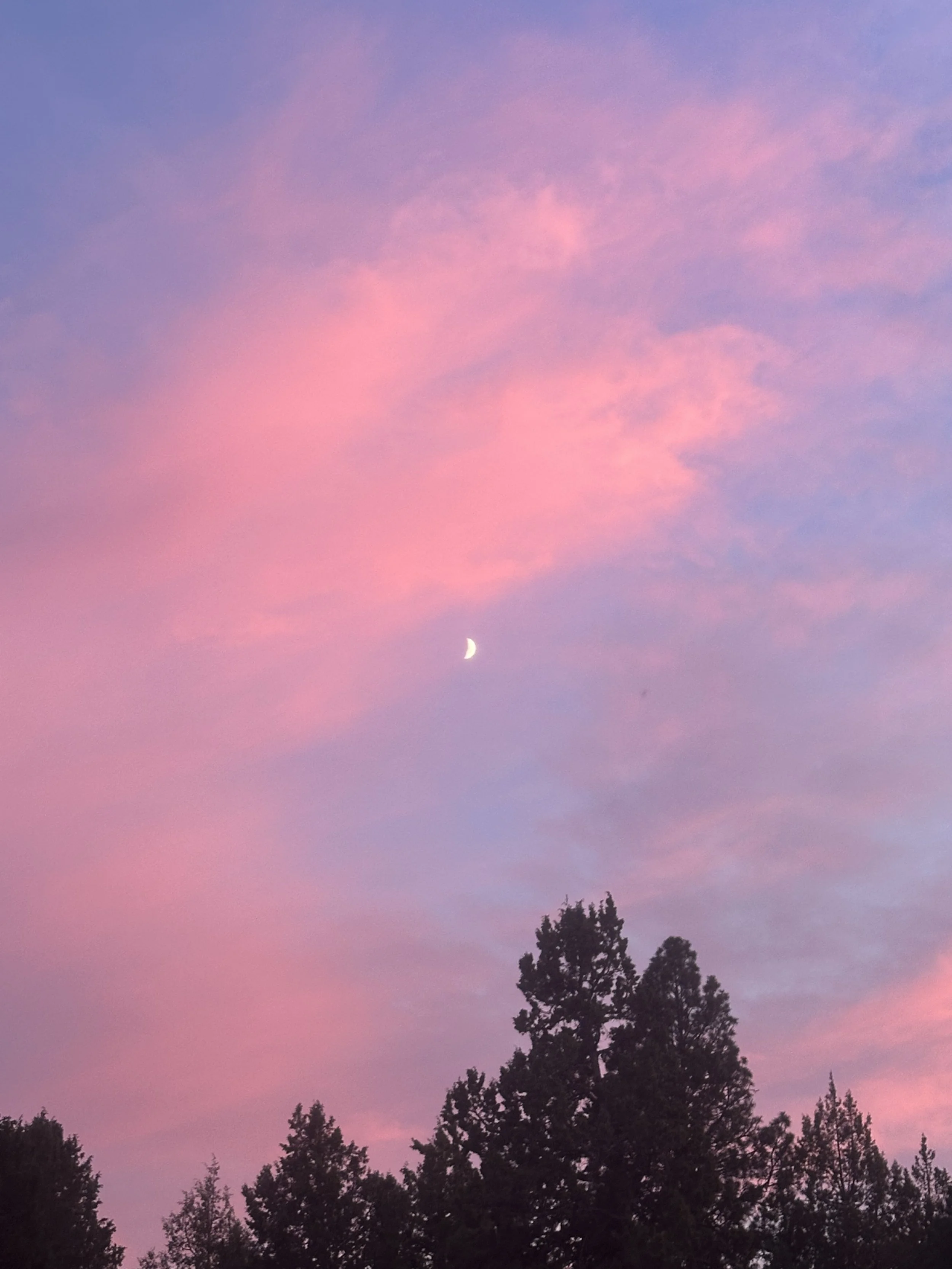 Manifesting &amp; Guided Imagery Workshop