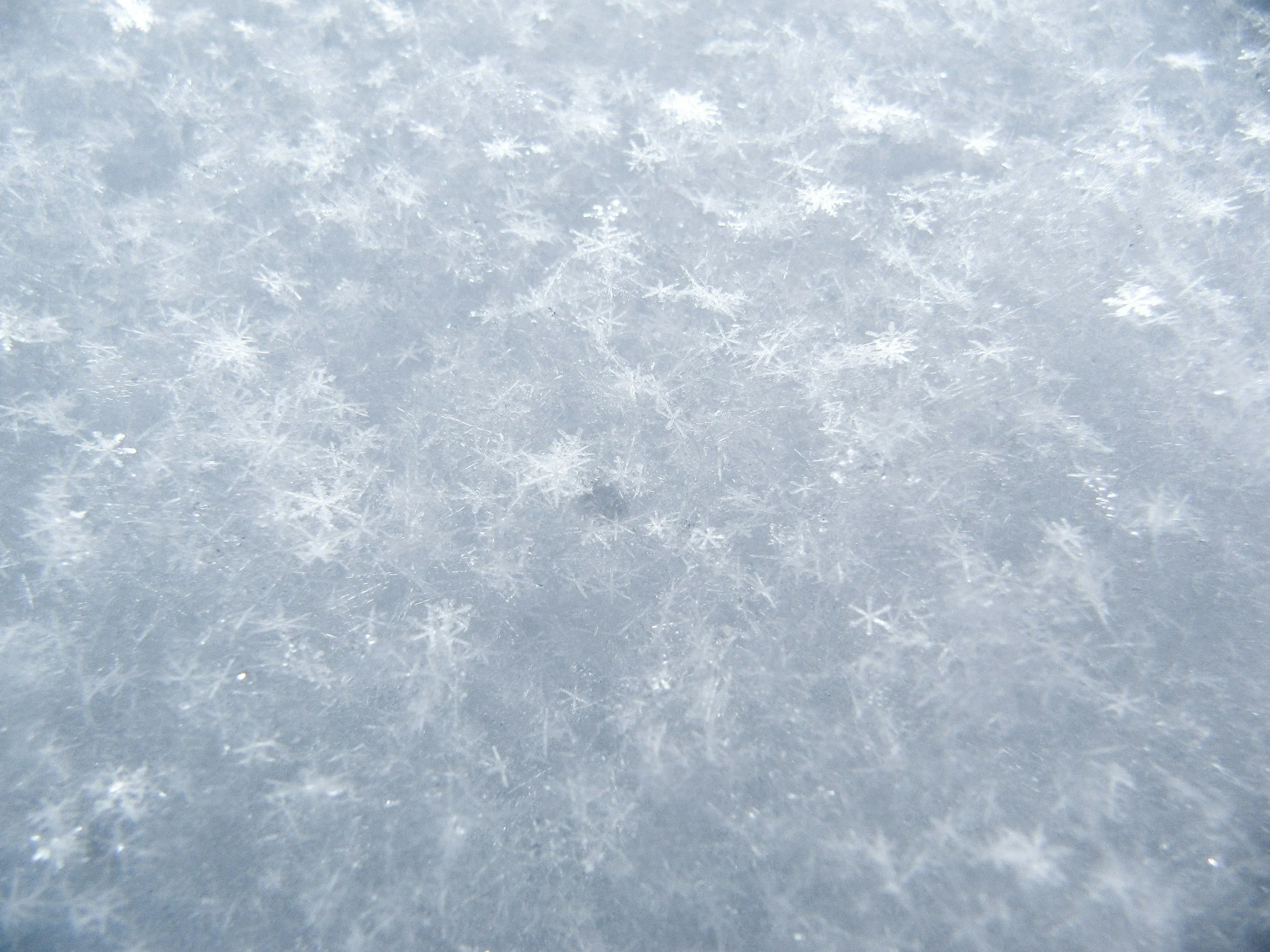 Close-up of snowflakes on a surface with intricate ice crystal patterns.