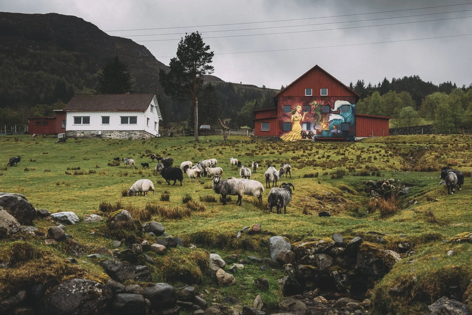 A rural landscape with green pastures and numerous sheep grazing. In the background, there are two houses, one white and one red, with a colorful mural painted on the red house depicting a fairy tale scene with a princess, a dragon, and sea waves. The scene is set against a backdrop of forested hills and mountains.