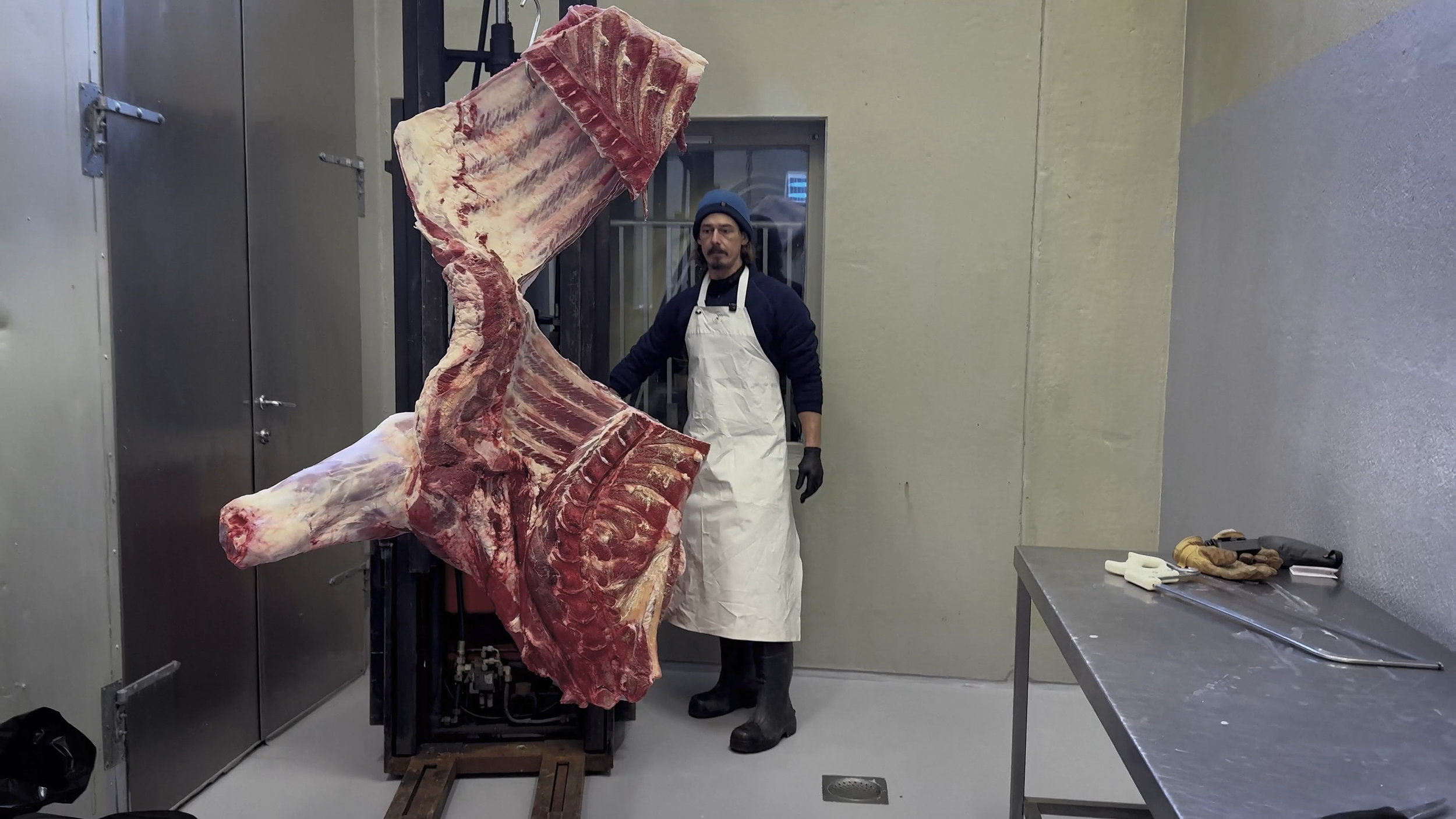 A butcher wearing a white apron, black gloves, and a beanie stands behind a large slab of raw beef ribs hanging on a metal frame in a meat processing room. There is a metal table with gloves, a knife, and other tools to the right.