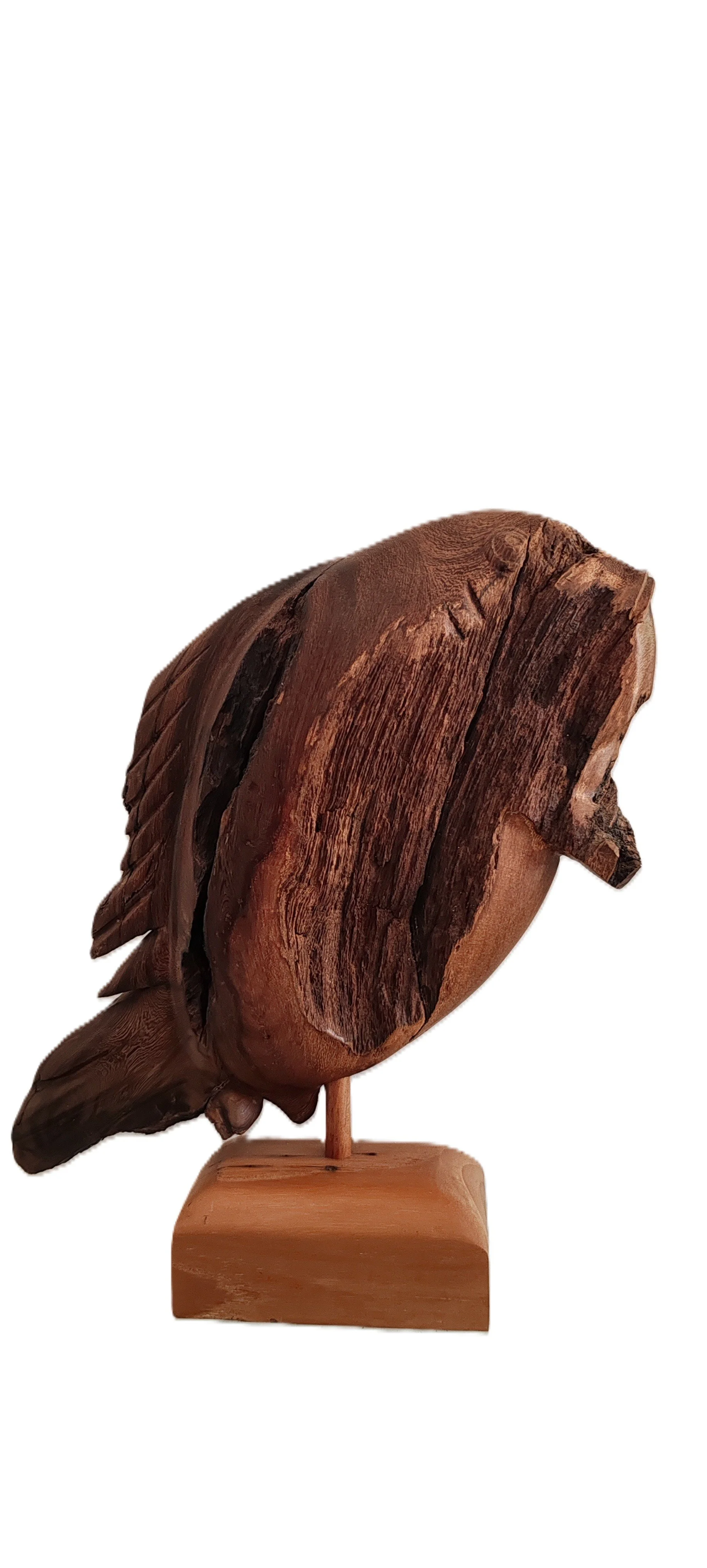 MOJARRA

Madera: Madero
Dimensiones: 13"(H)×12"(W)×4"(D) 

Atenta y territorial, la mojarra representa el instinto de protección y el equilibrio de la vida en los ecosistemas acuáticos. Una obra que evoca la armonía entre la naturaleza y sus guardian