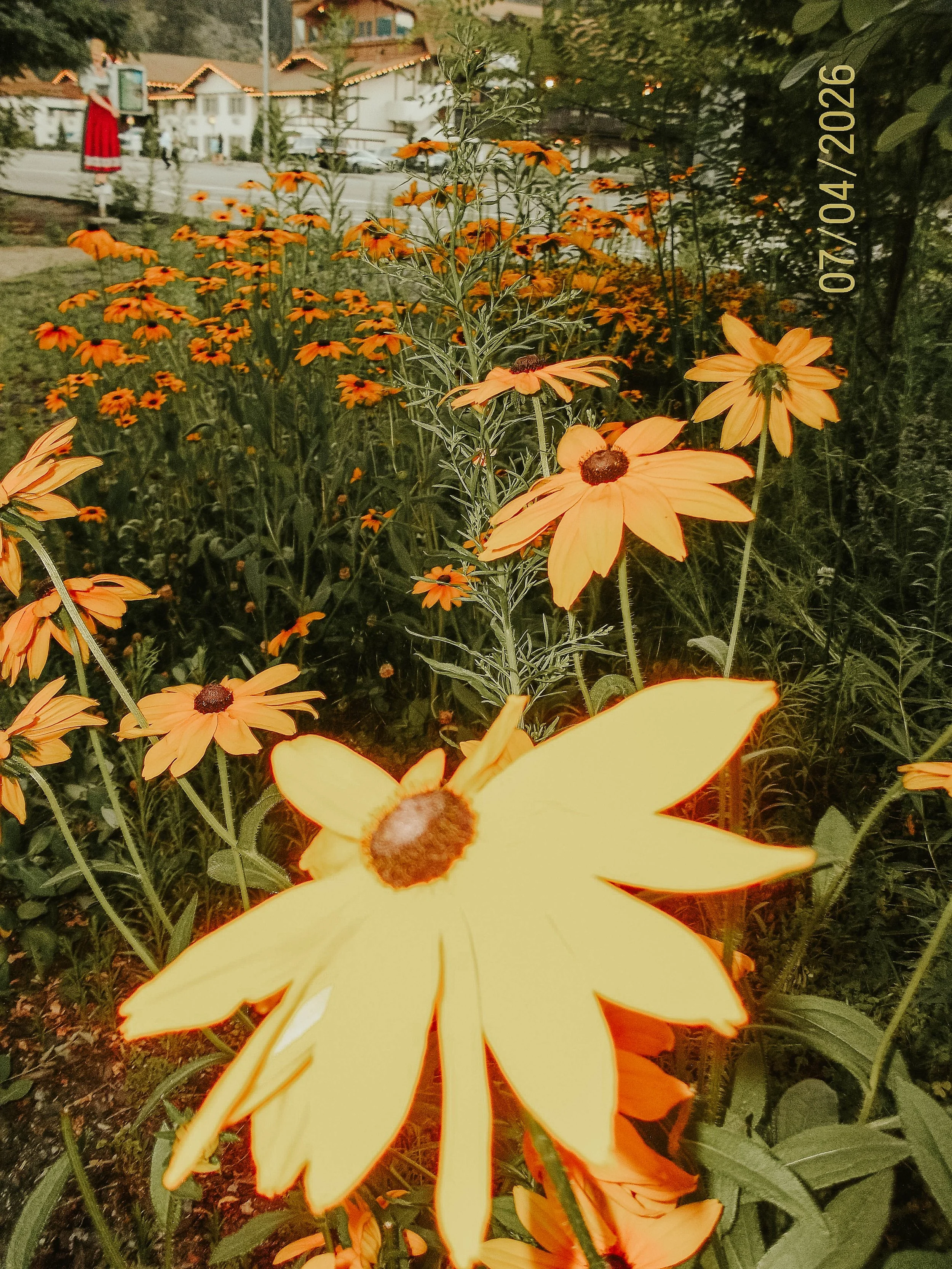 100_0757.jpg