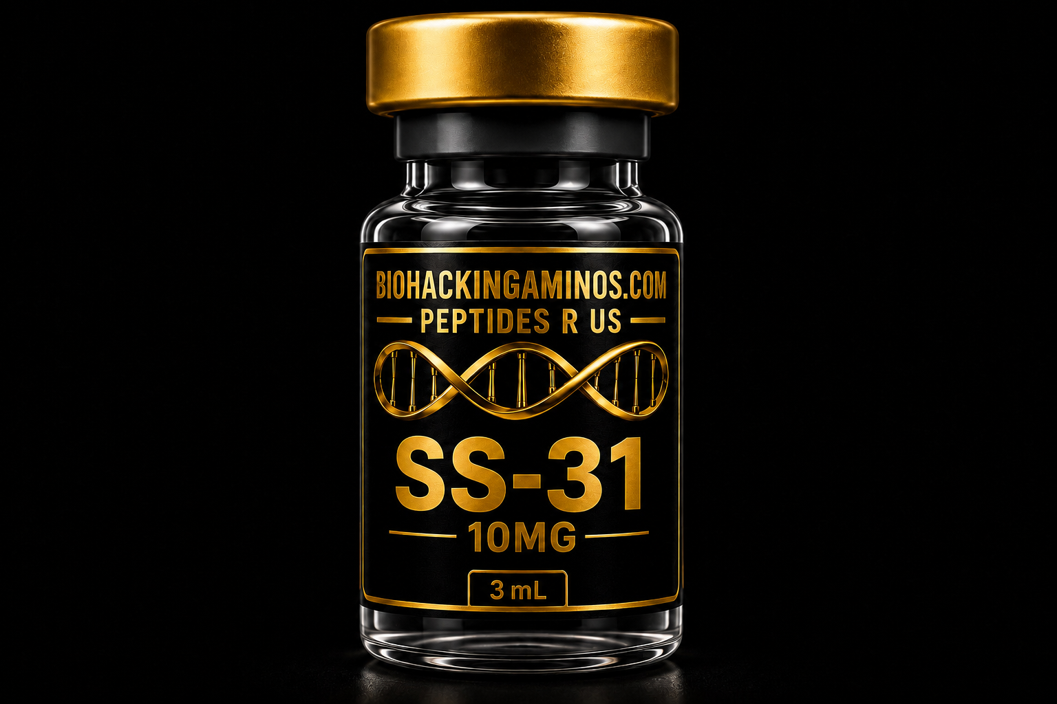SS-31 website image.png
