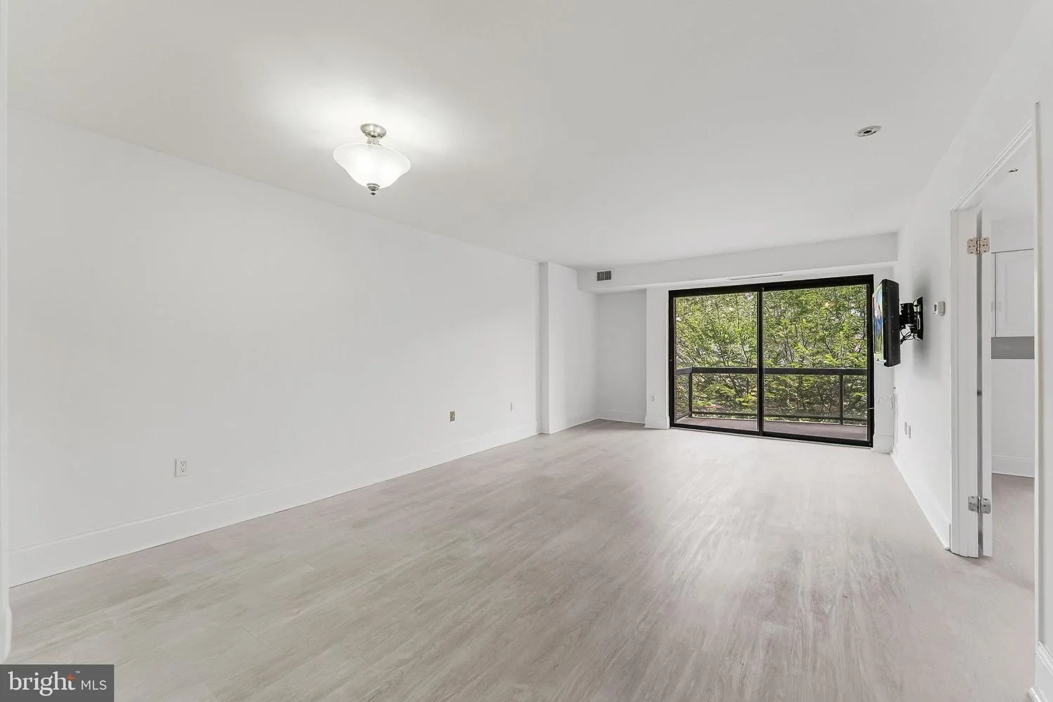 Empty living room with white walls, light-colored hardwood floors, a ceiling light fixture, a large sliding glass door leading to a balcony, and a wall-mounted TV.