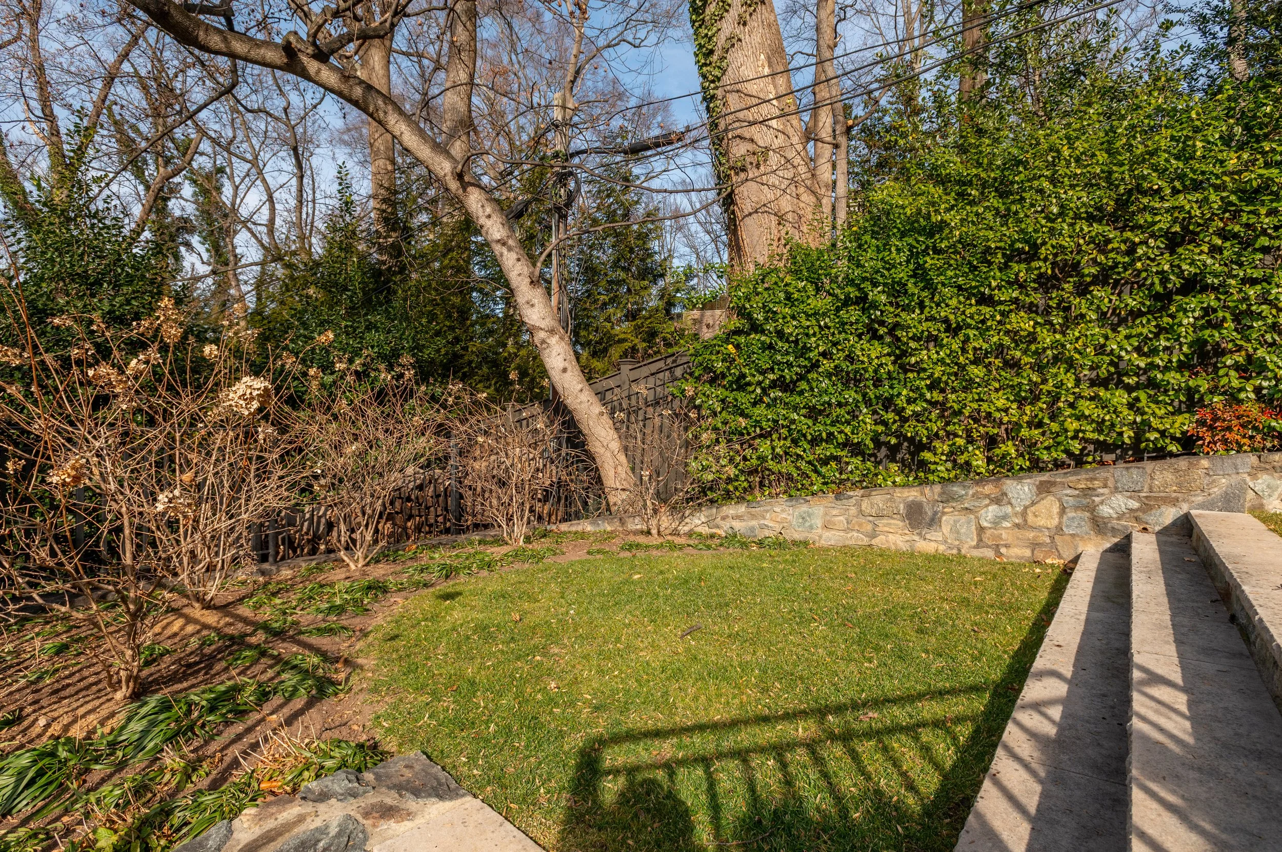 A backyard garden area with a small grass lawn, a stone retaining wall, and a concrete staircase. There are leafless bushes and trees, some evergreen trees, and a wooden fence in the background. Clear blue sky overhead.