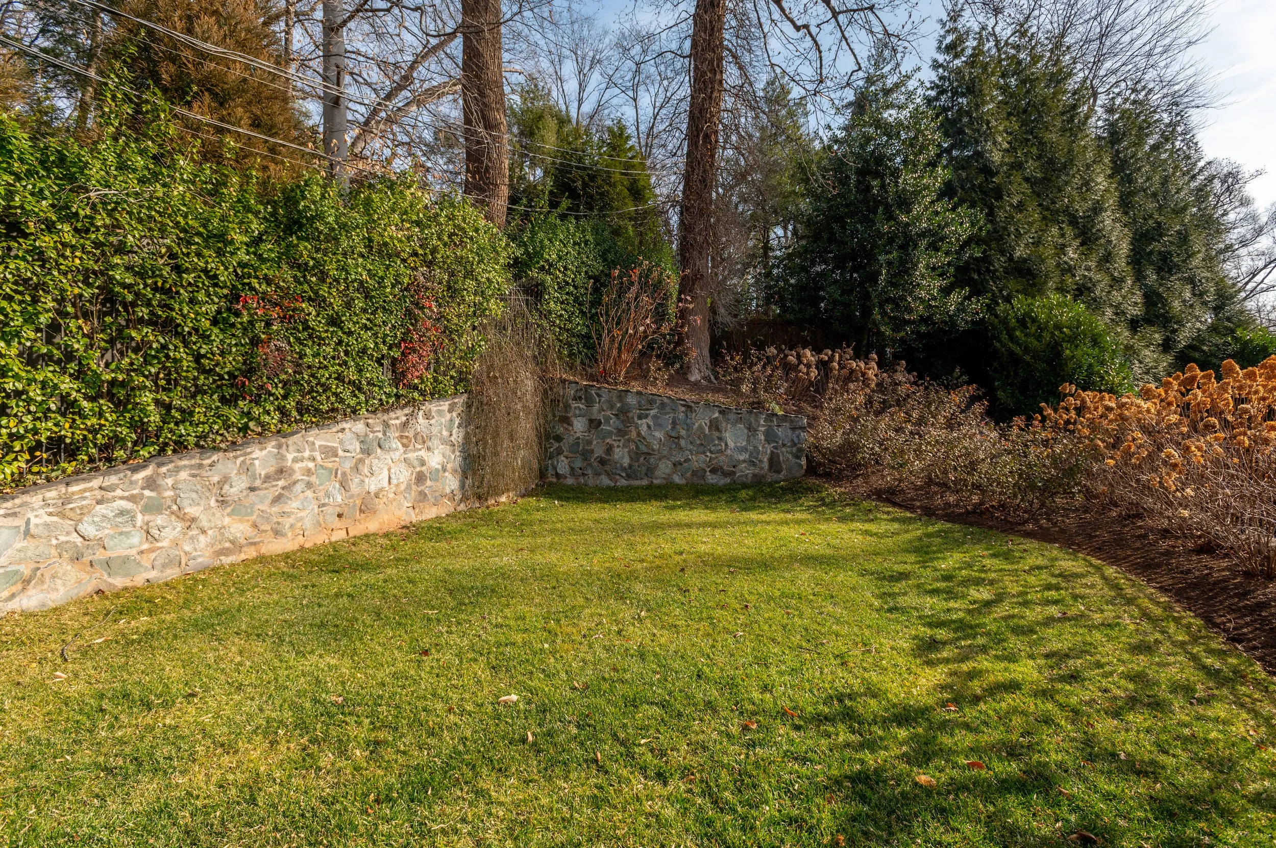 A backyard with a stone retaining wall, green grass, and various trees and bushes, some with winter foliage.
