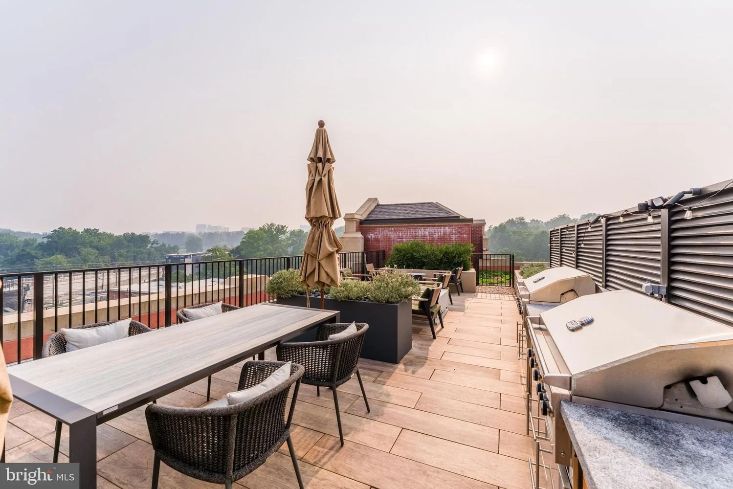 Rooftop patio with outdoor dining table, chairs, large plants, umbrellas, and a built-in grill, overlooking city skyline and green trees.