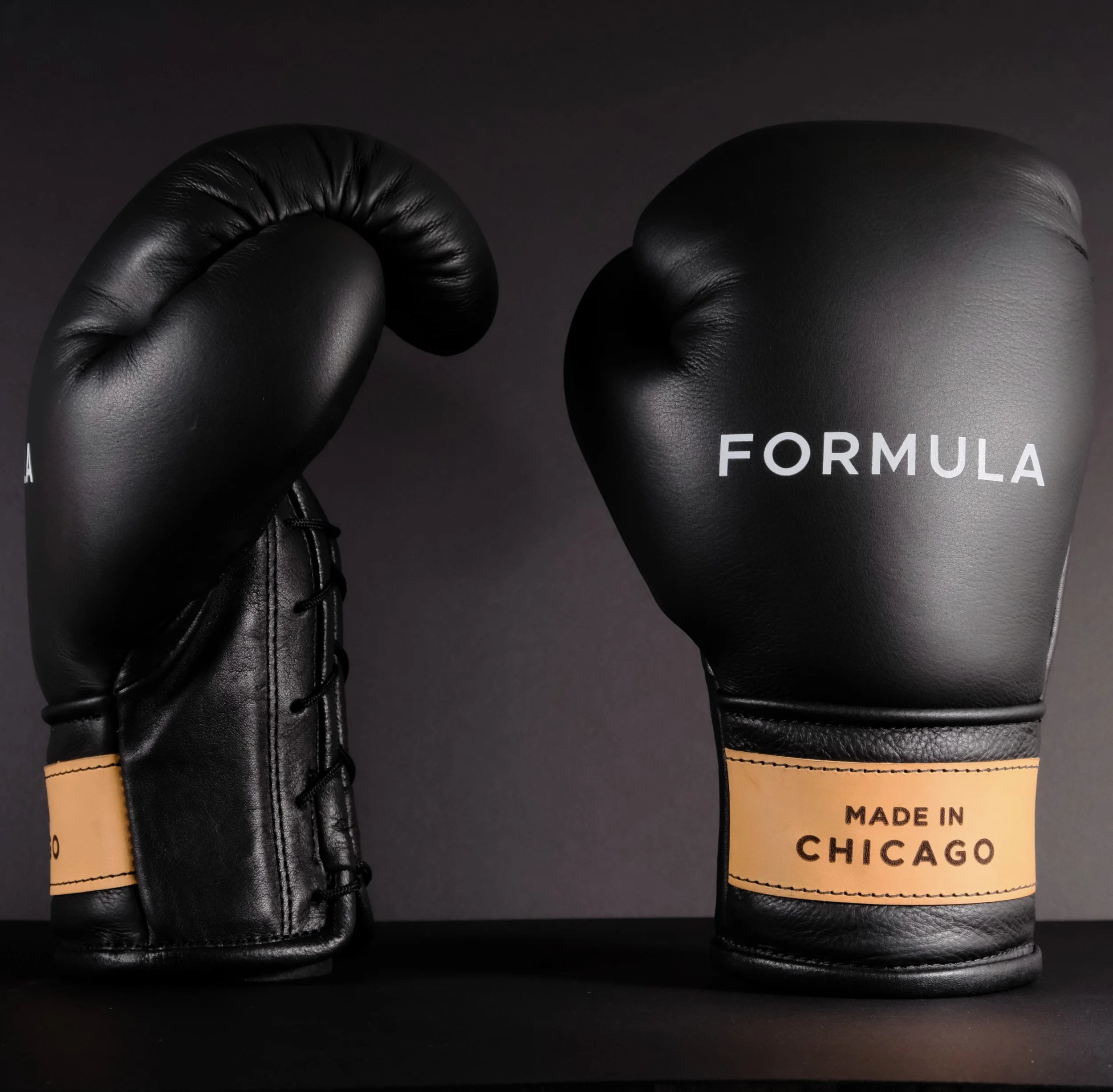 12 oz. Training Gloves