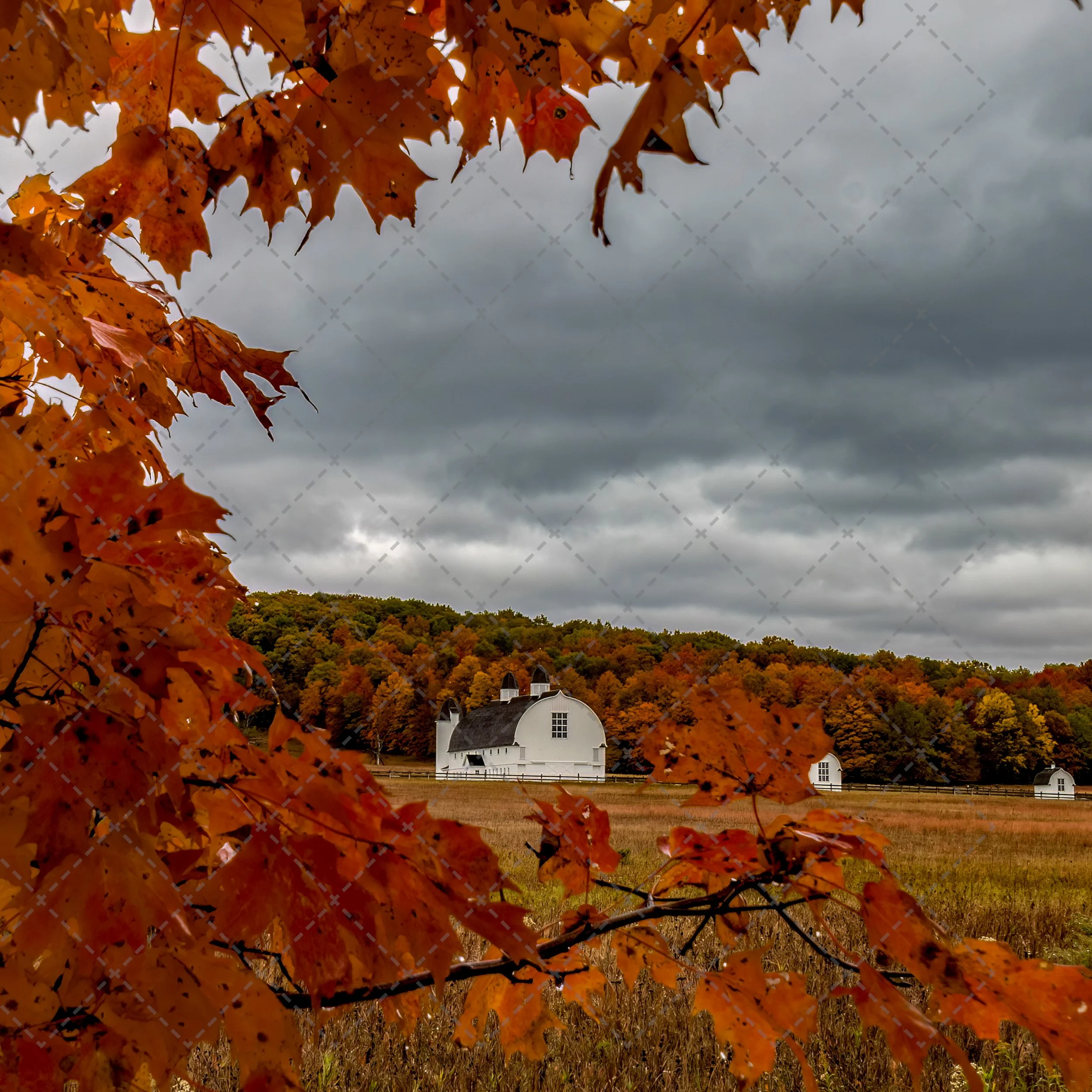 D.H Day Farm Barn~Framed.jpg