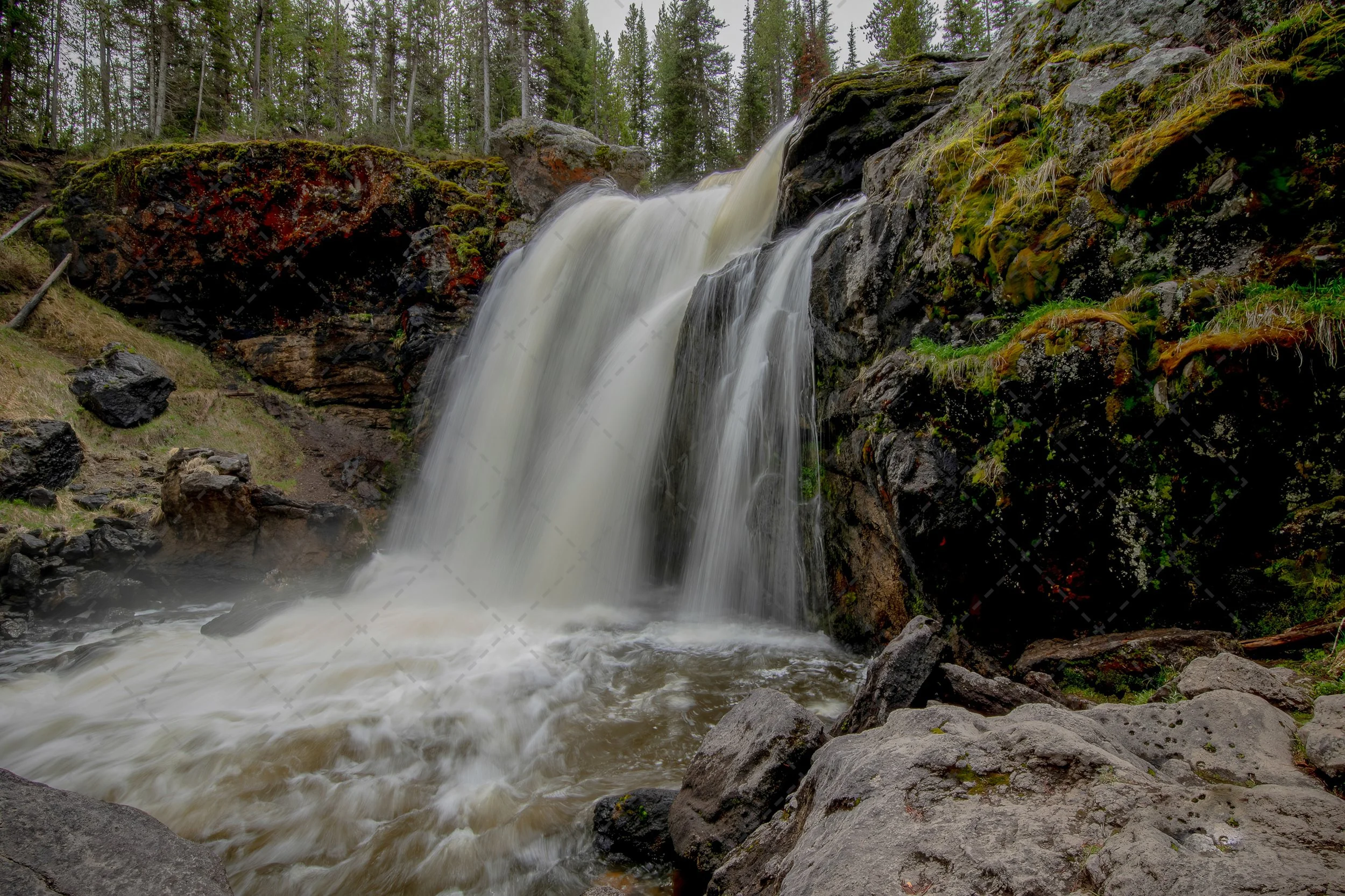 A scenic view of a waterfall flowing over rocks in a forested mountain landscape with tall pine trees in the background.