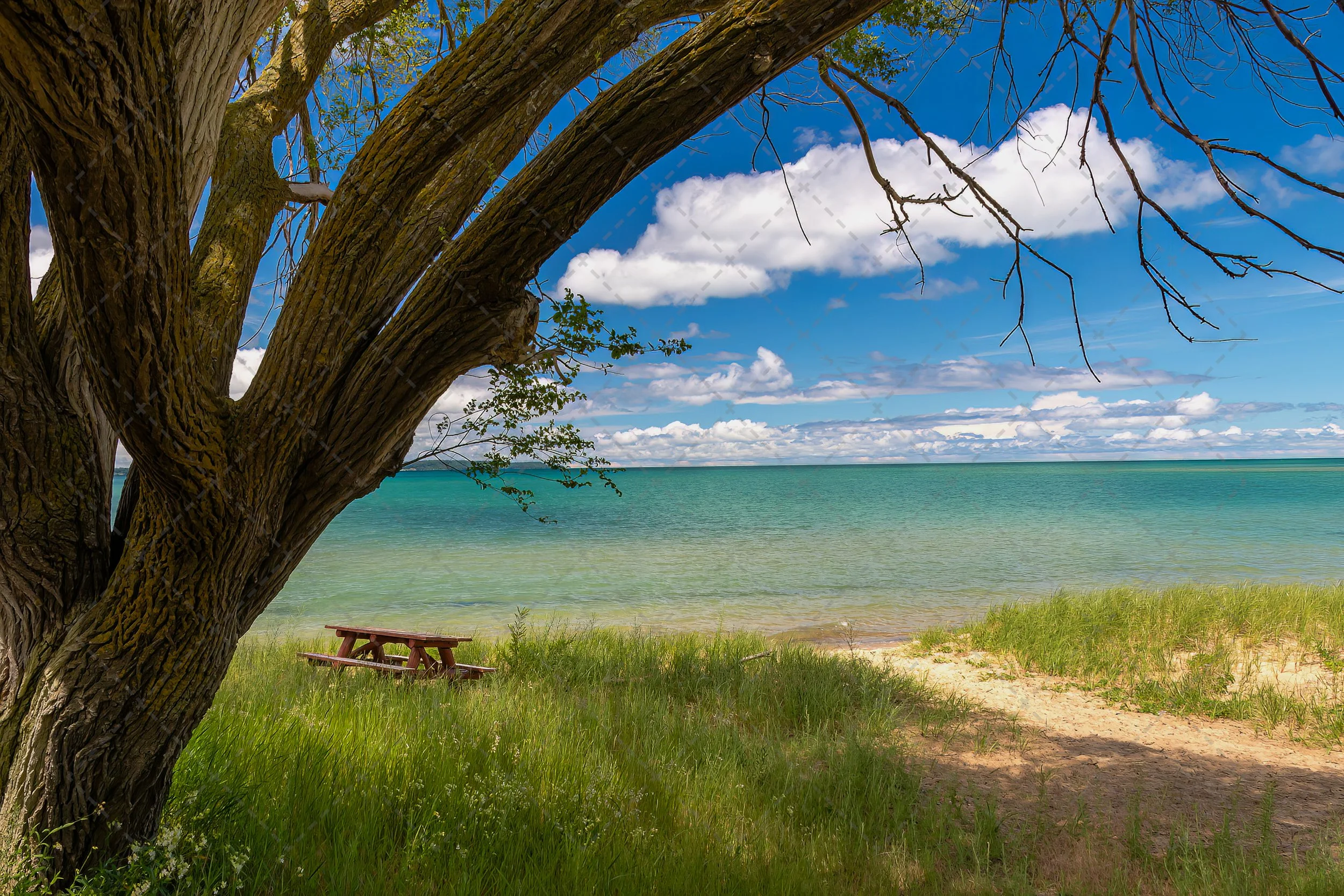 Little Traverse Bay~Summer Dreams (1 of 1).jpg