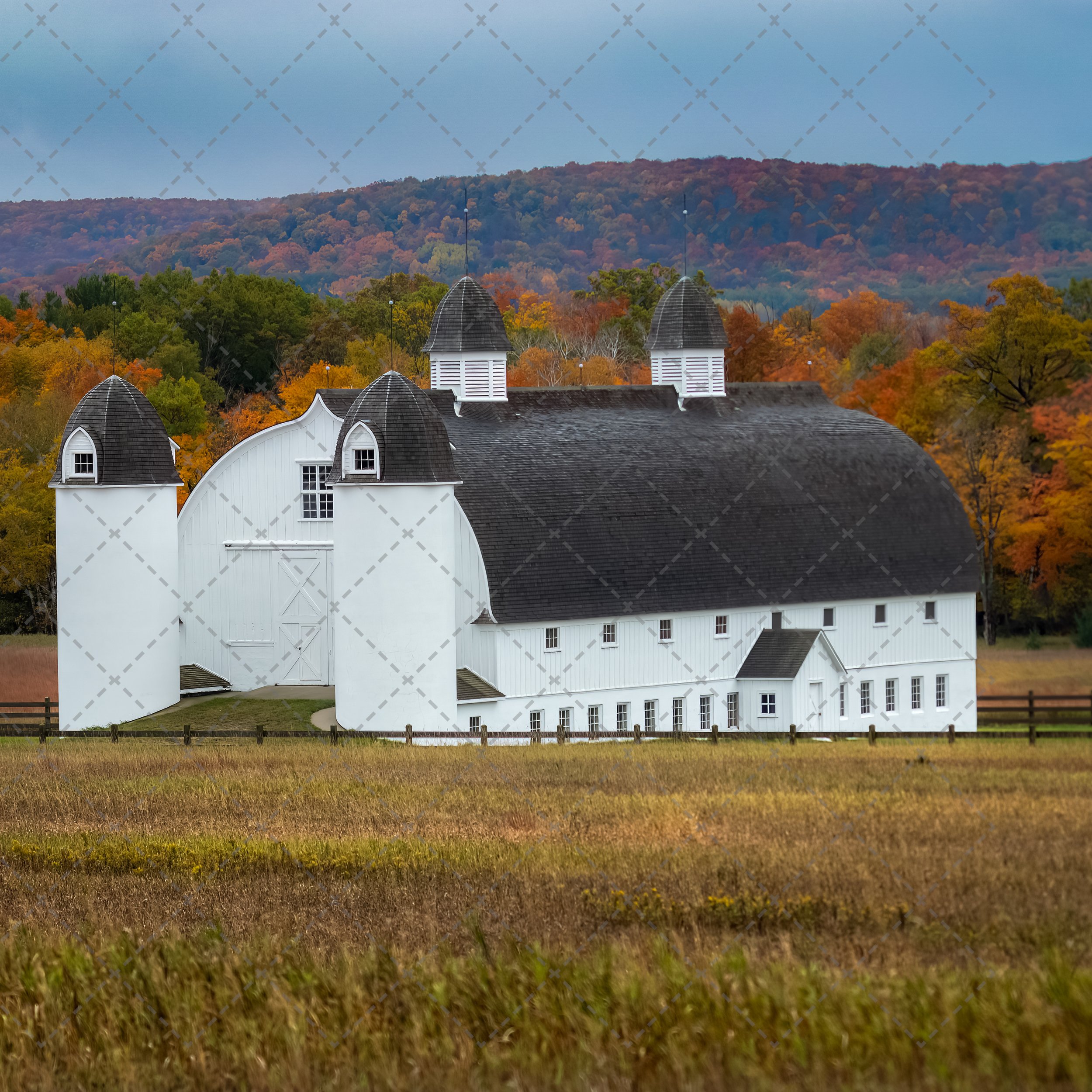 D.H Day Farm Barn~Autumn.jpg