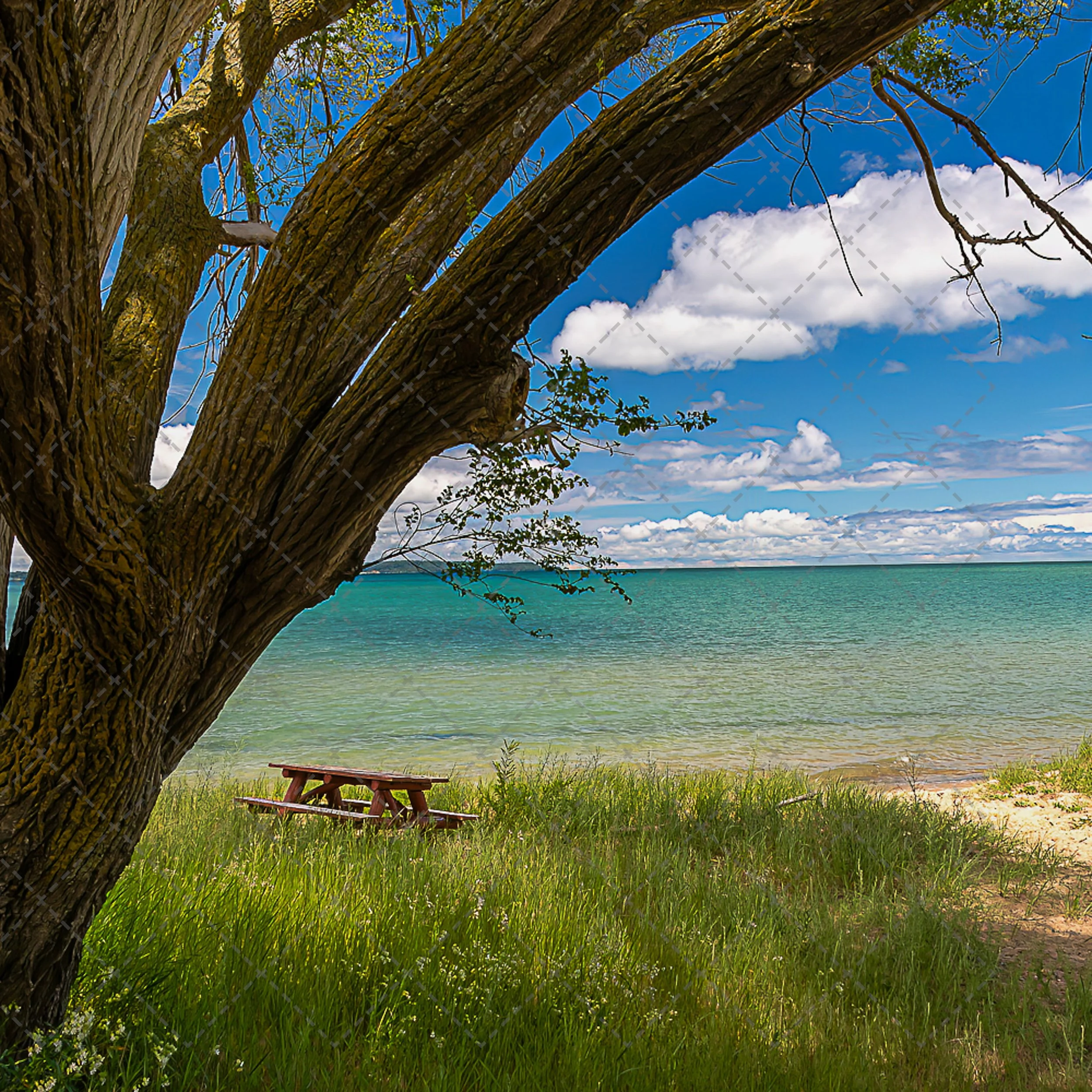 Little Traverse Bay~Elk Rapids.jpg