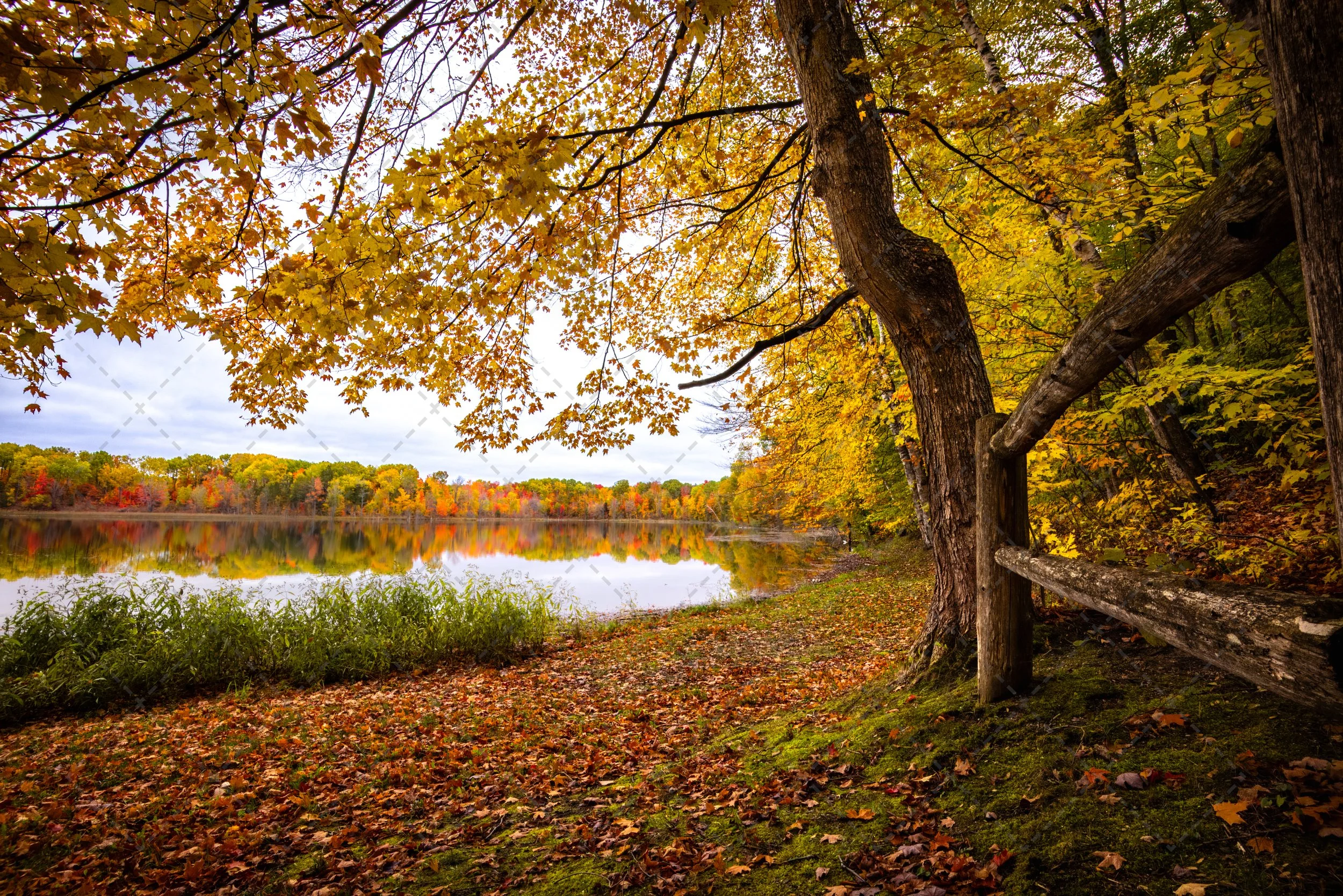 Note Cards ~ Michigan Landscape