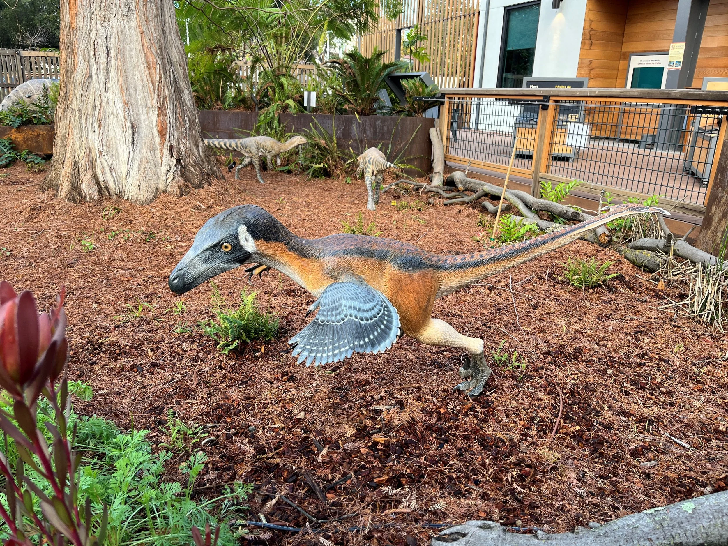 Dromeaosaur.jpg
