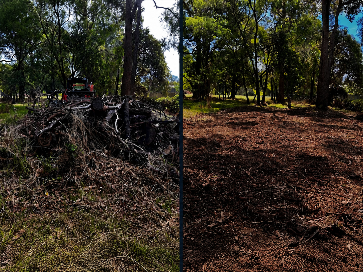 Comparison of two outdoor scenes: left shows a pile of fallen branches and wood with a tractor in a green, wooded area; right shows a clean, leaf-covered ground with trees and a blue sky.