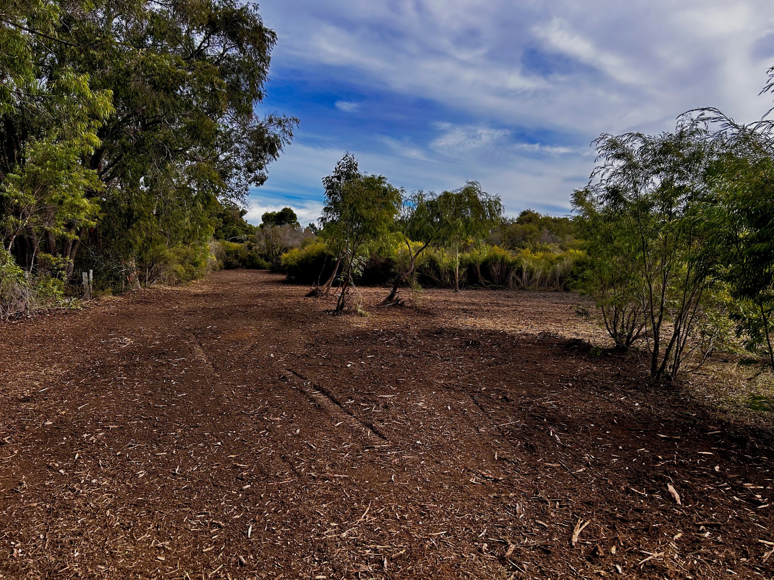 A cleared fence line trail runs through a forested area negating fire risks.