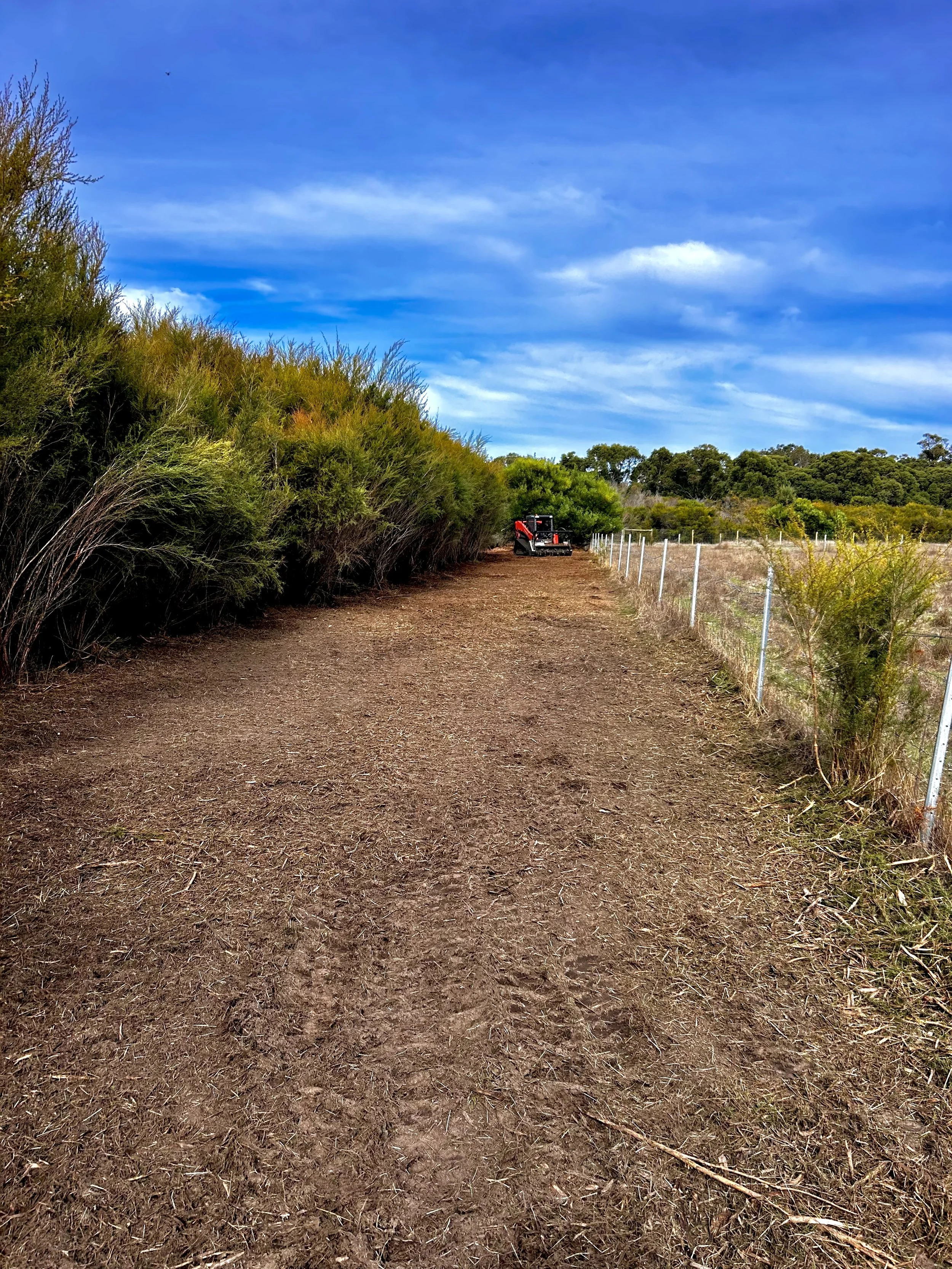Cleared fence line using Southwest Vegetation Managment's clearing machine.