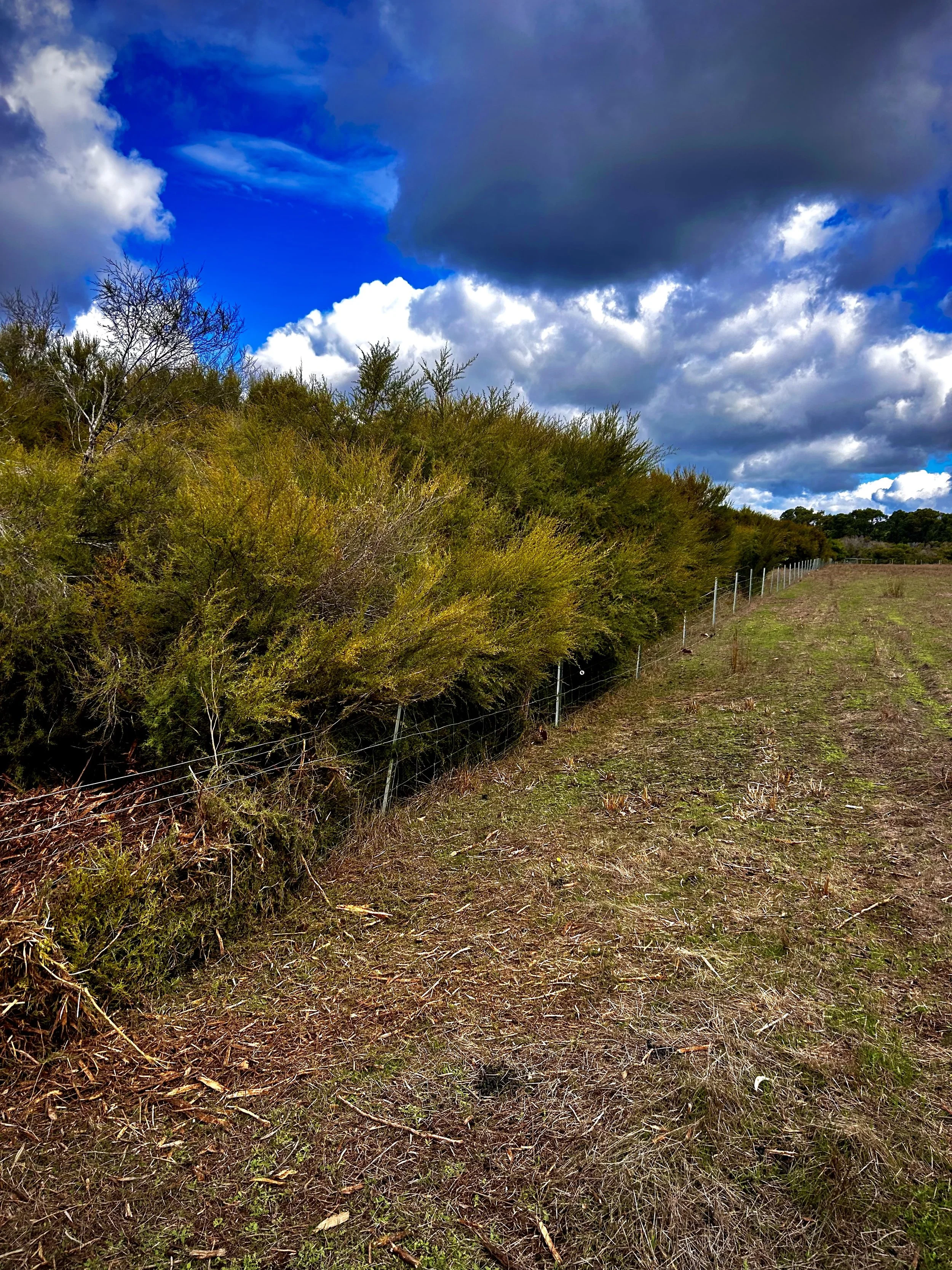 A dirt path running along the edge of a fenced area with shrubbery and trees on one side and open land on the other, under a partly cloudy sky.
