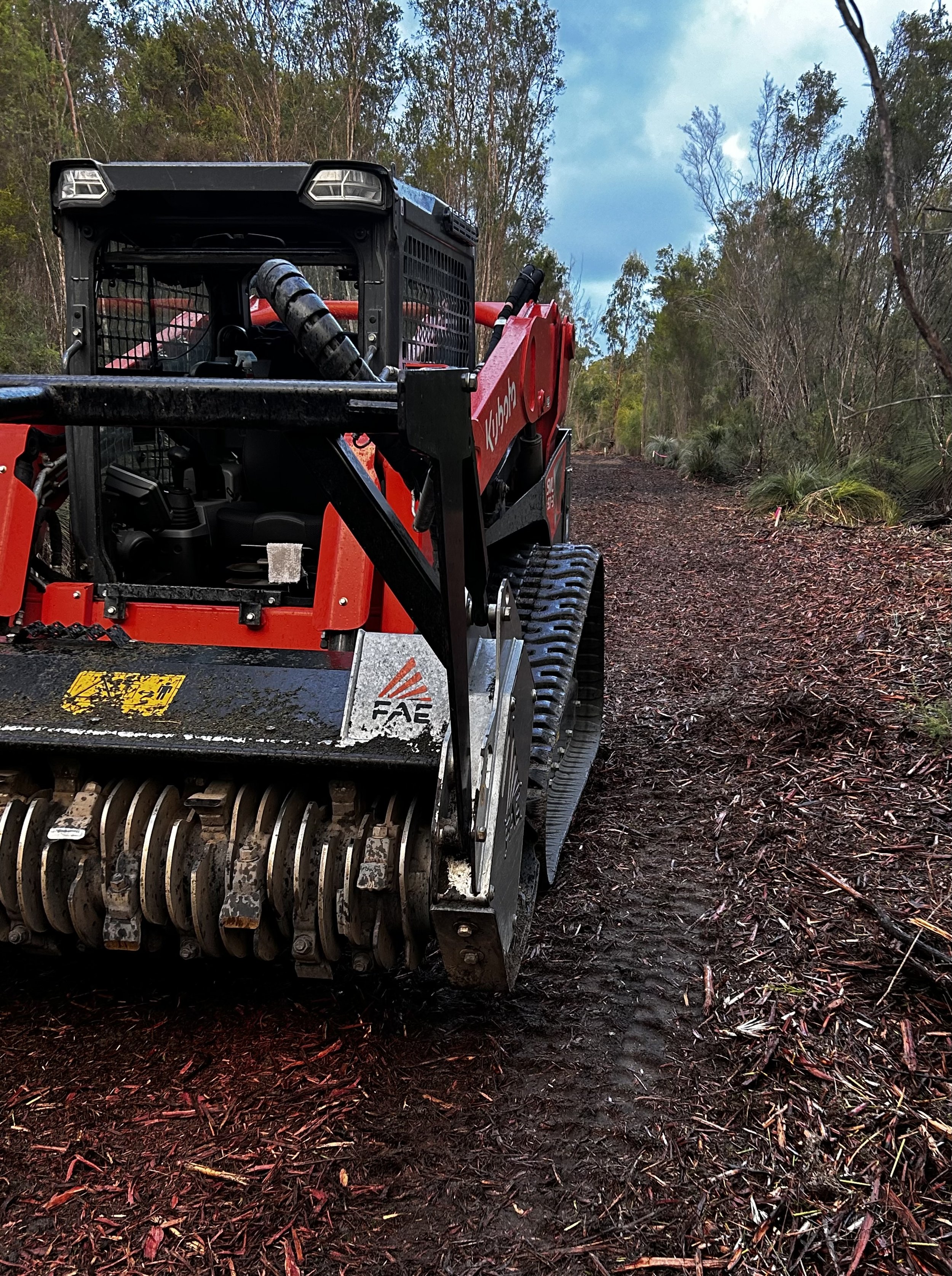 Compact track loader using forestry mulcher to do trail creation.