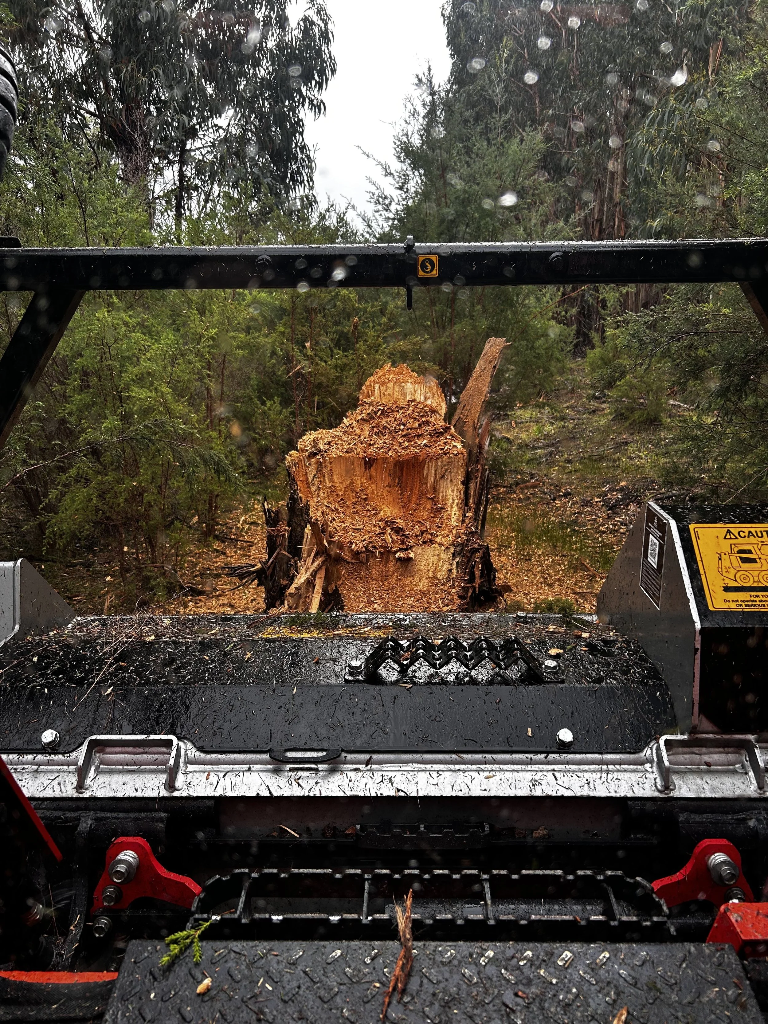 A forestry machine with a hydraulic grapple saw cutting a large tree in a forested area, with trees and rain droplets visible in the background.