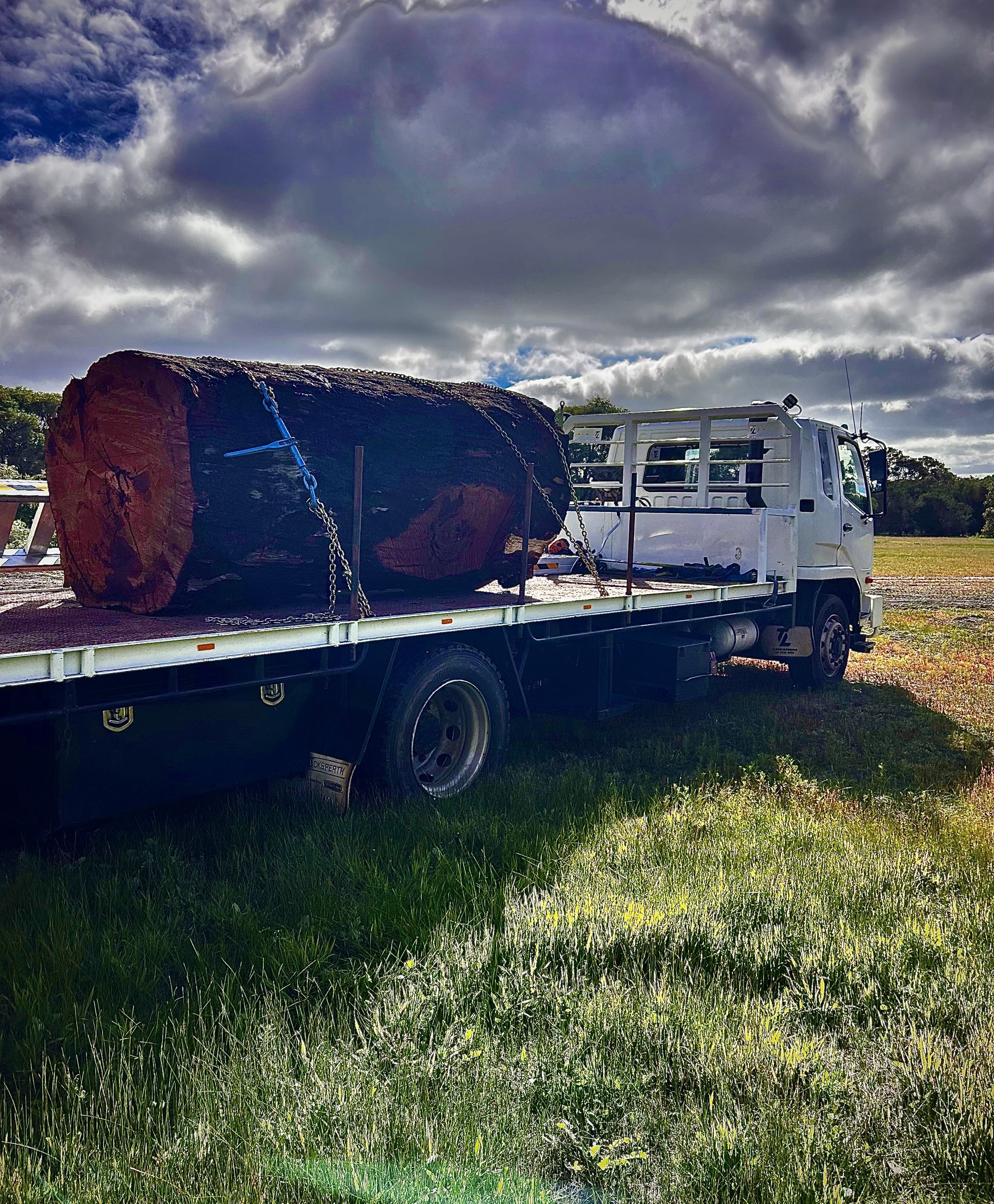 Large tree removal.