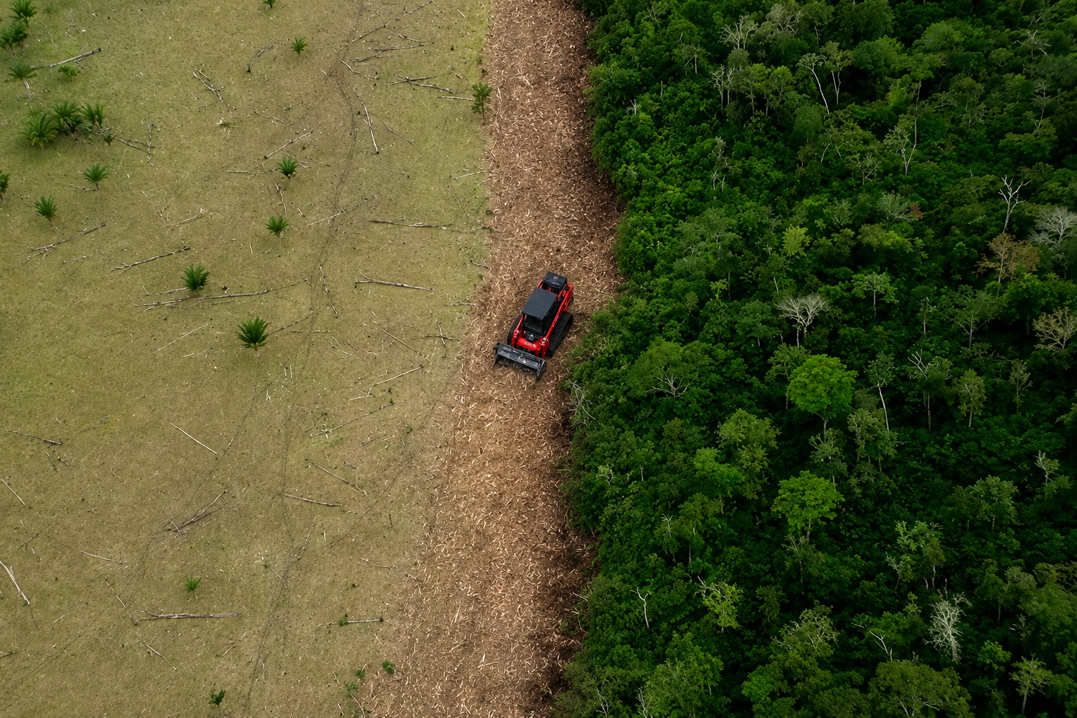 An aerial view of a boundary being cleared to reclaim land.
