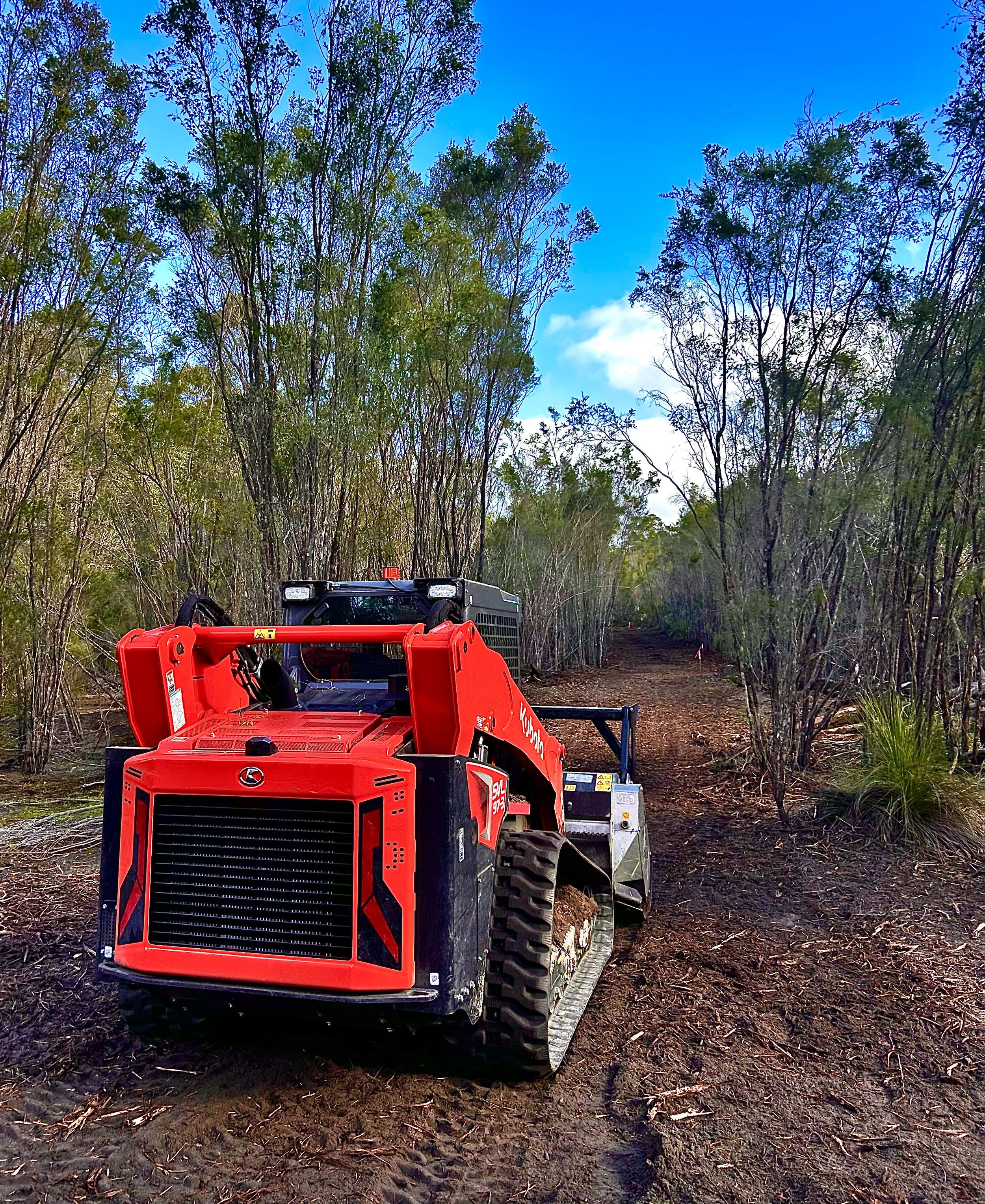 Track creation using a compact track loader and forestry mulcher attachment.