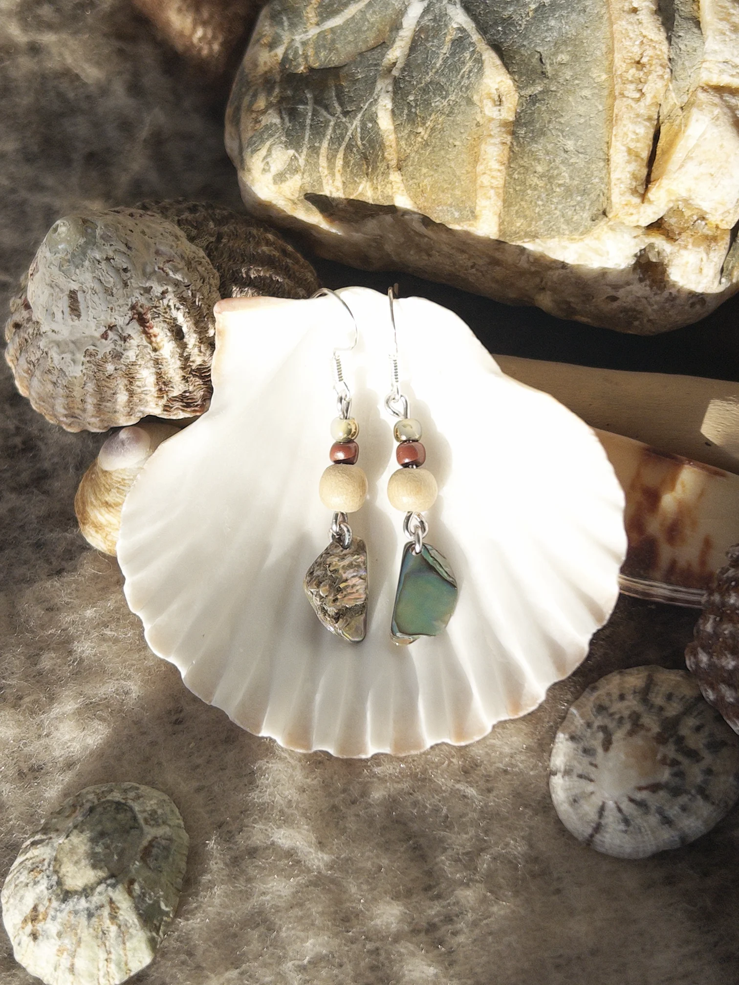 Shell H Money Earrings.webp