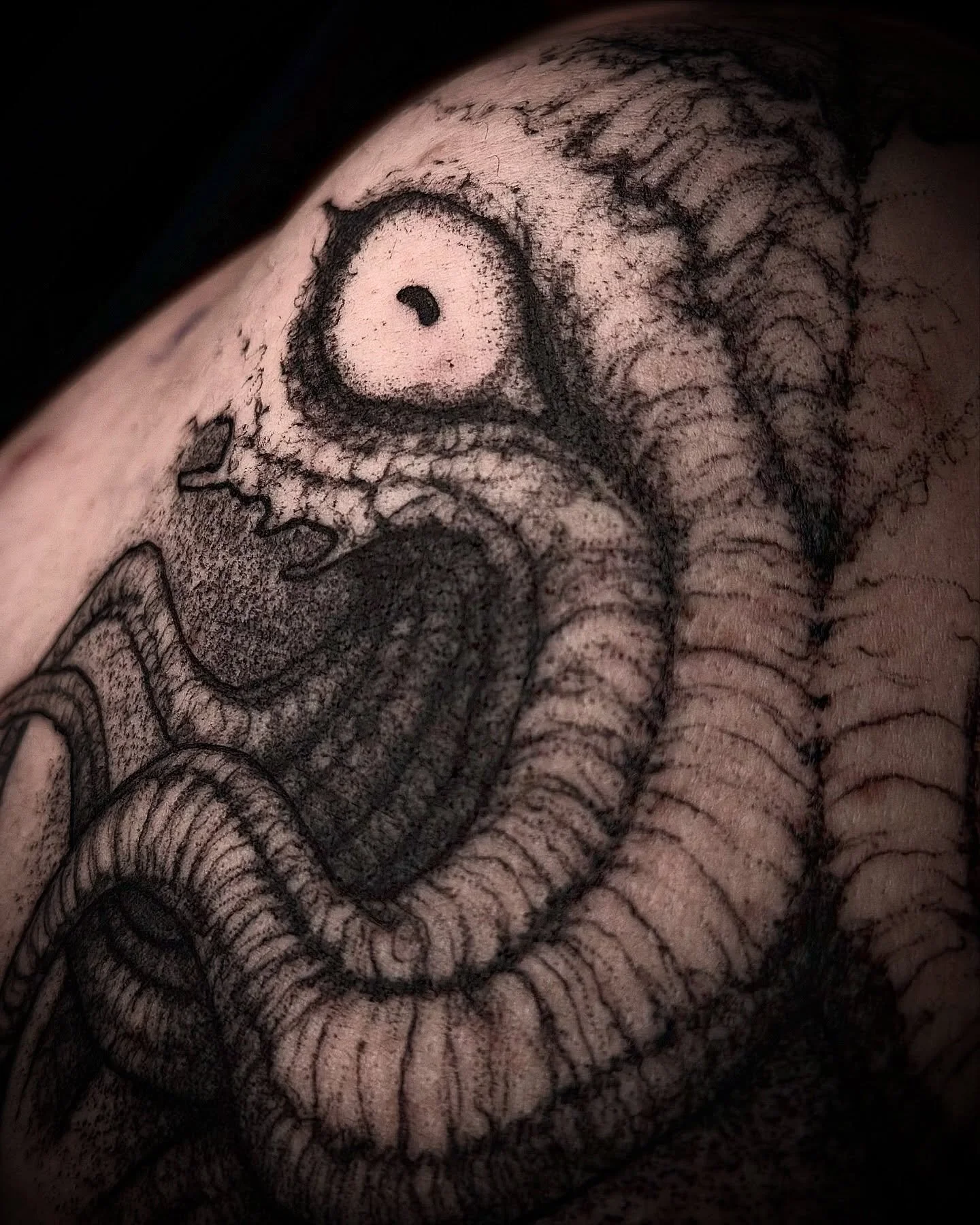 tatuate

#darktattoo #freehandtattoo #krakentattoo