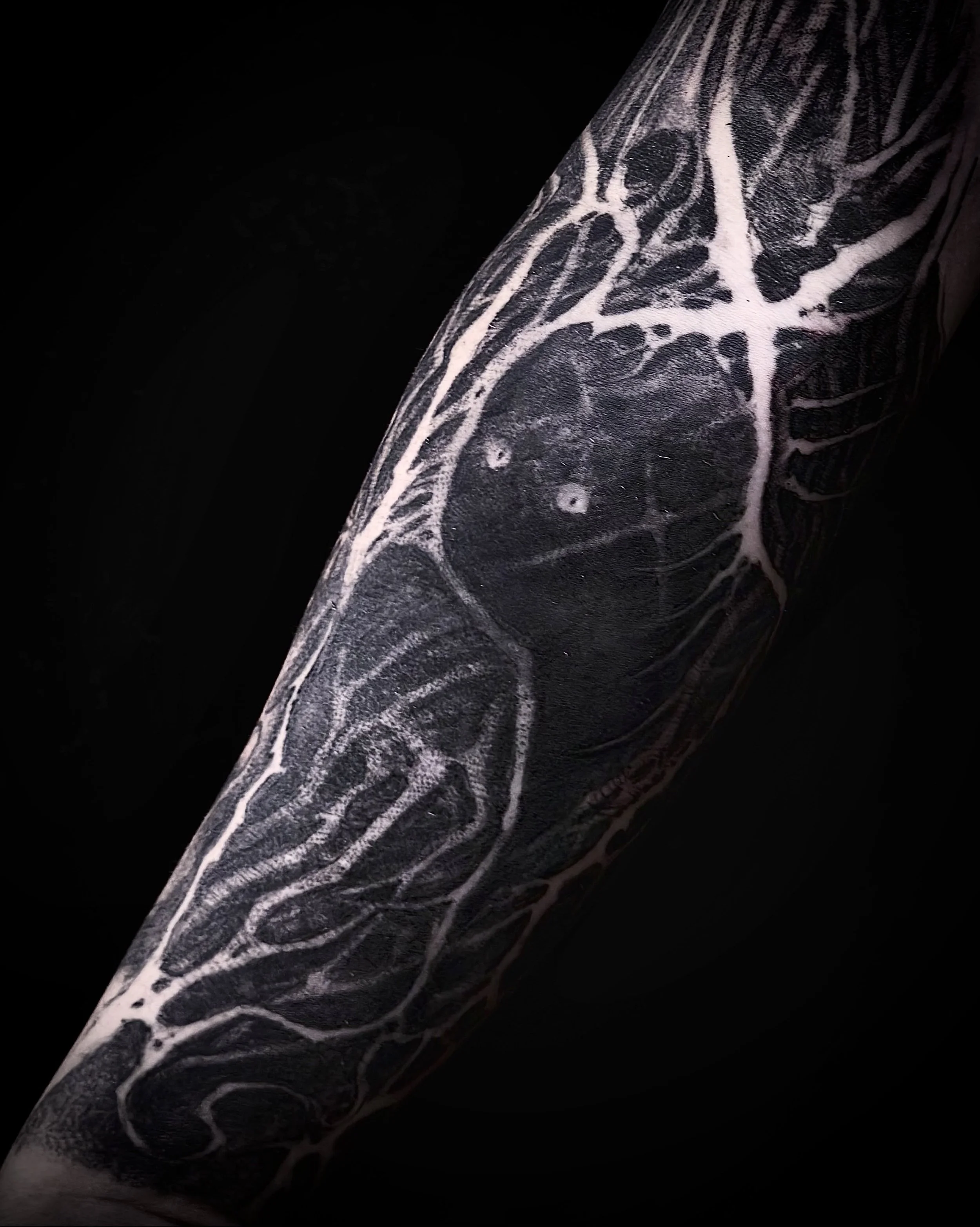 tatuate

#darkmattertattoo #organicblackwork #darktattoo #horrortattoo #tattoochile
