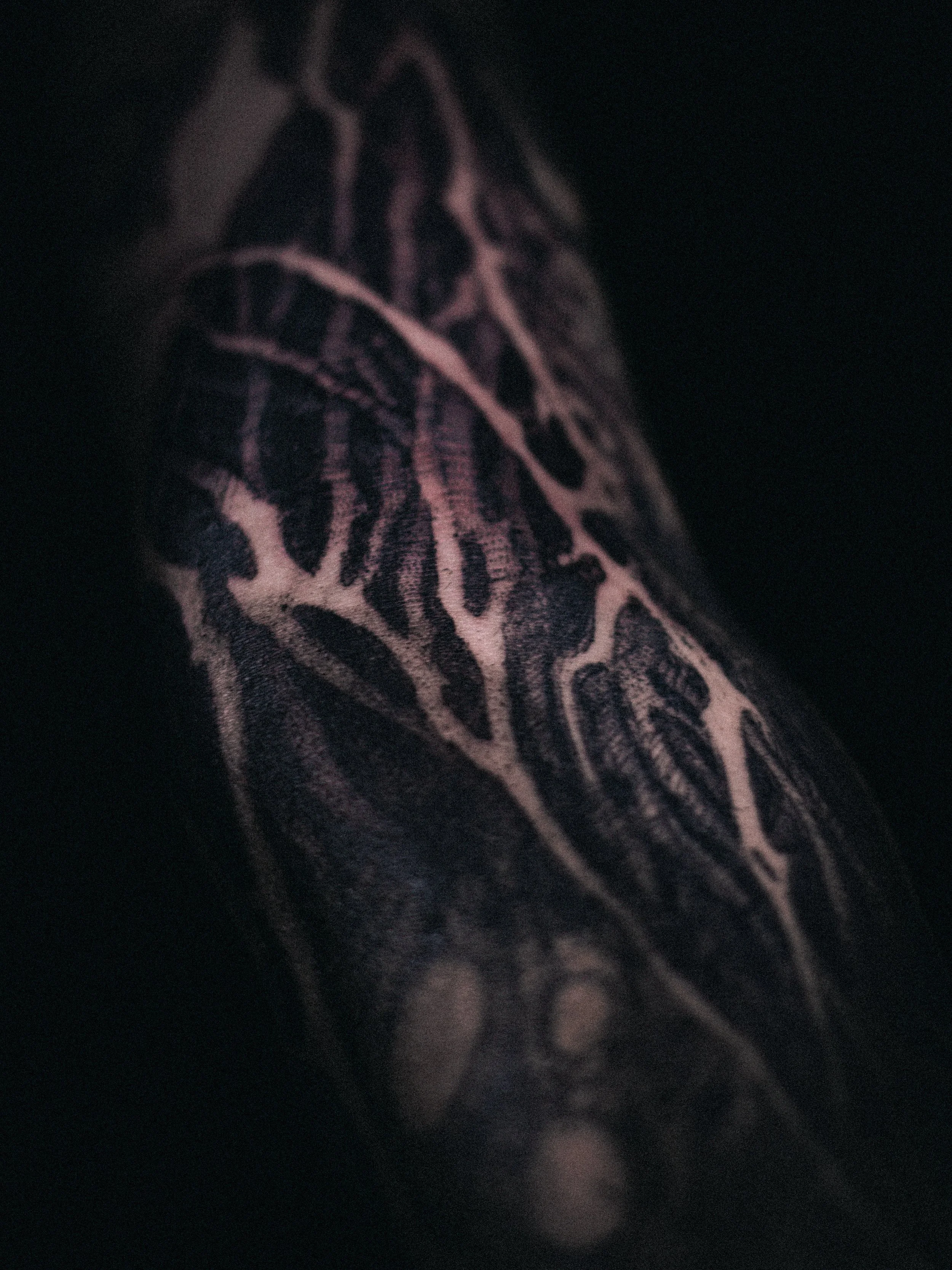 detalles de manguita 🫶🏻

#darkworktattoo #freehandtattoo #tattoochile
