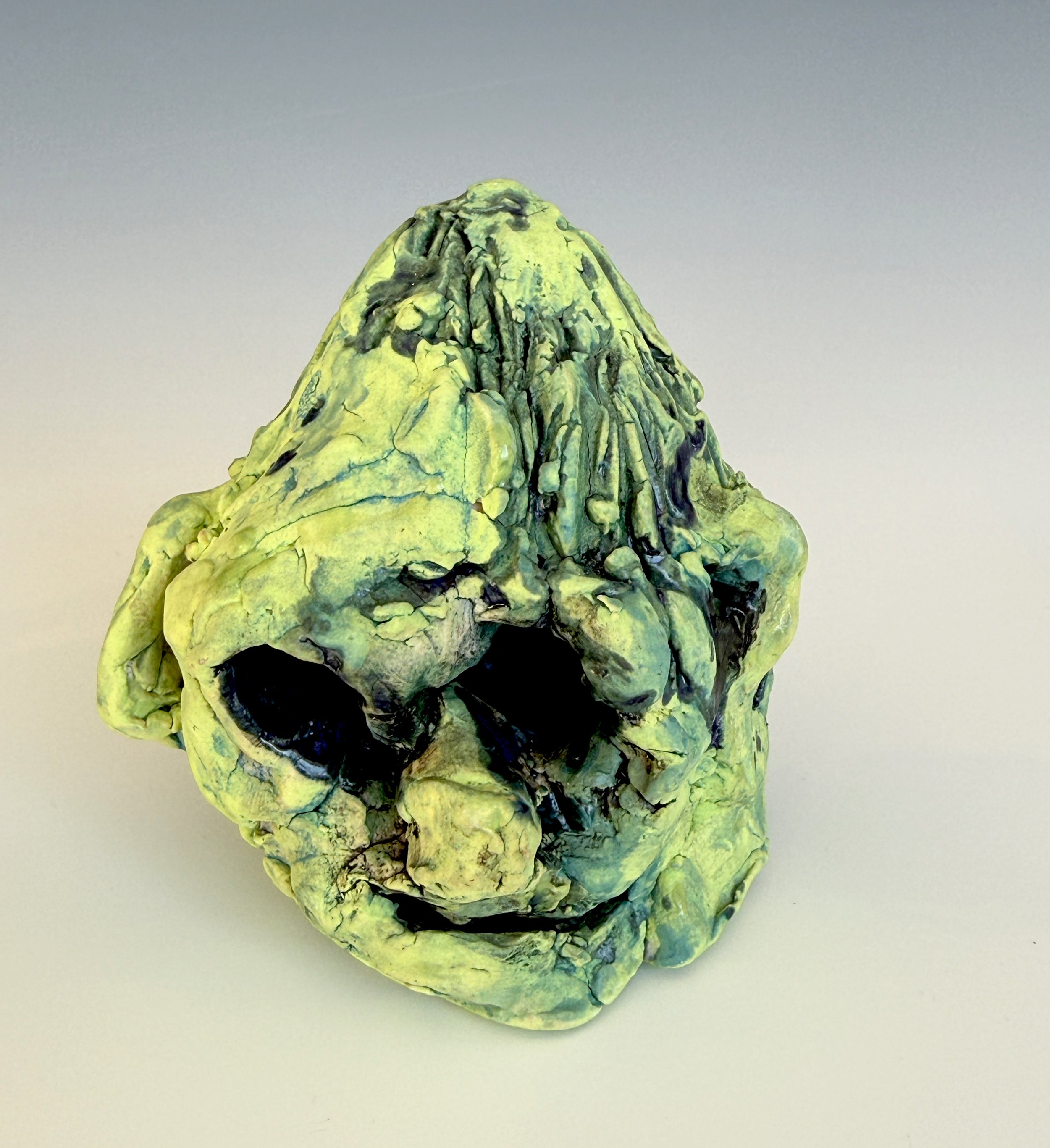 A detailed view of a small mummified bird with yellowish-green skin, visible black holes for eyes, and preserved features, positioned against a plain light background.