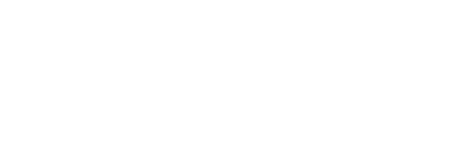 BlackLine Holdings Group