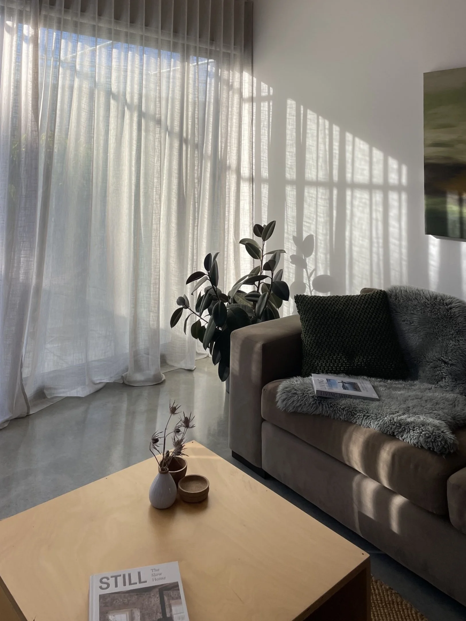 A cozy living room with a beige sofa, dark textured pillows, a faux fur throw, and a wooden coffee table in front. The coffee table has a white vase with dried flowers, a small bowl, and a magazine titled 'STILL.' Behind the sofa, a large window with sheer white curtains casts shadow patterns on the white wall. A leafy houseplant is situated beside the sofa, and a partial view of a TV is visible on the right.