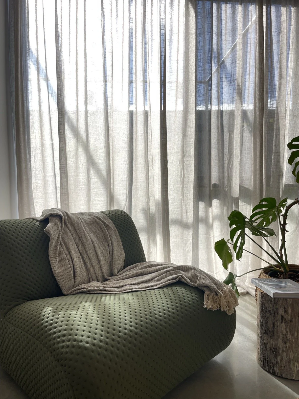 A living room scene with a green textured sofa, a beige throw blanket draped over it, a curtain-covered window allowing natural light in, a potted Monstera plant, and a side table with books.