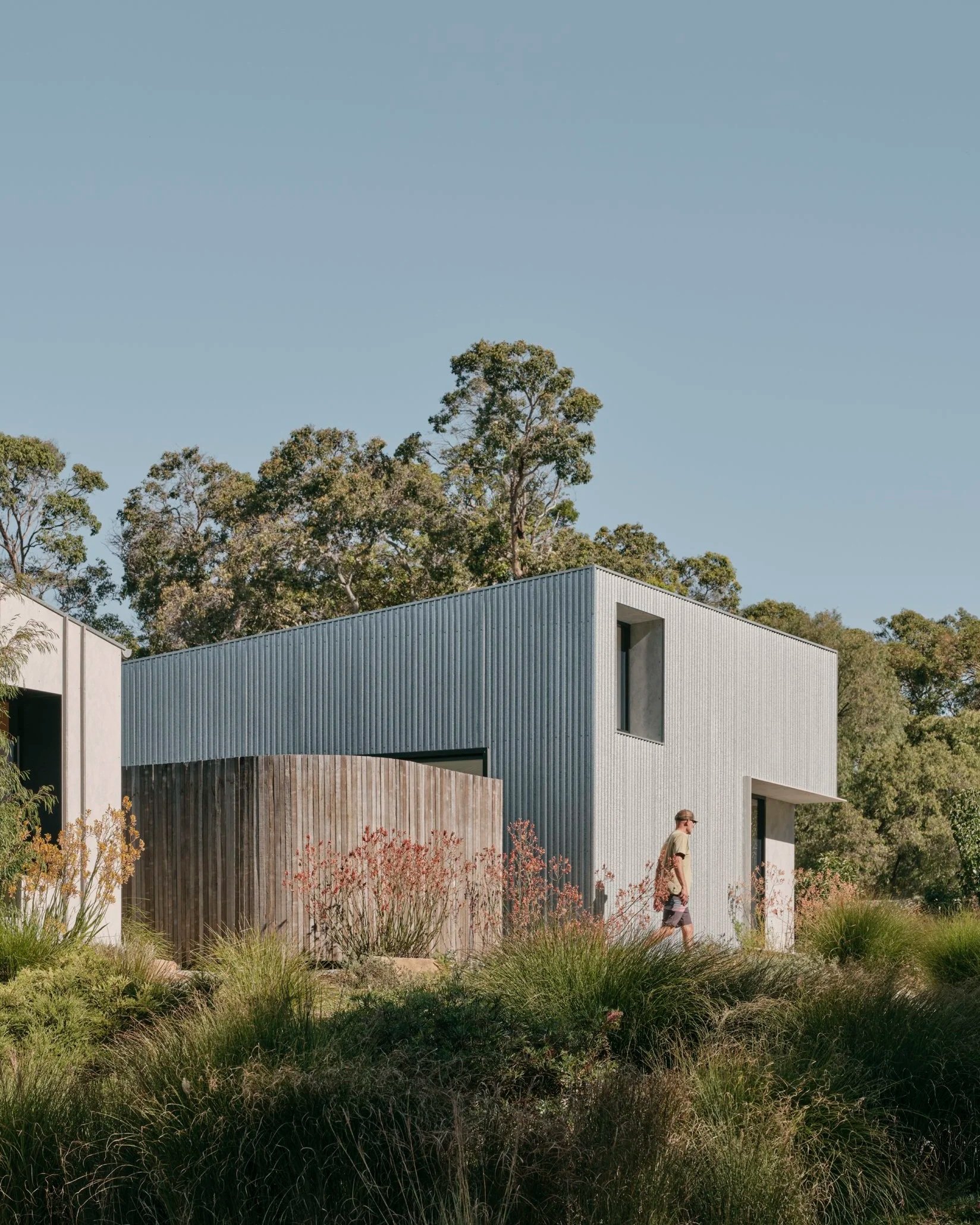 Modern house with galvanised metal cladding and large windows, surrounded by landscaped garden with grasses and shrubs.