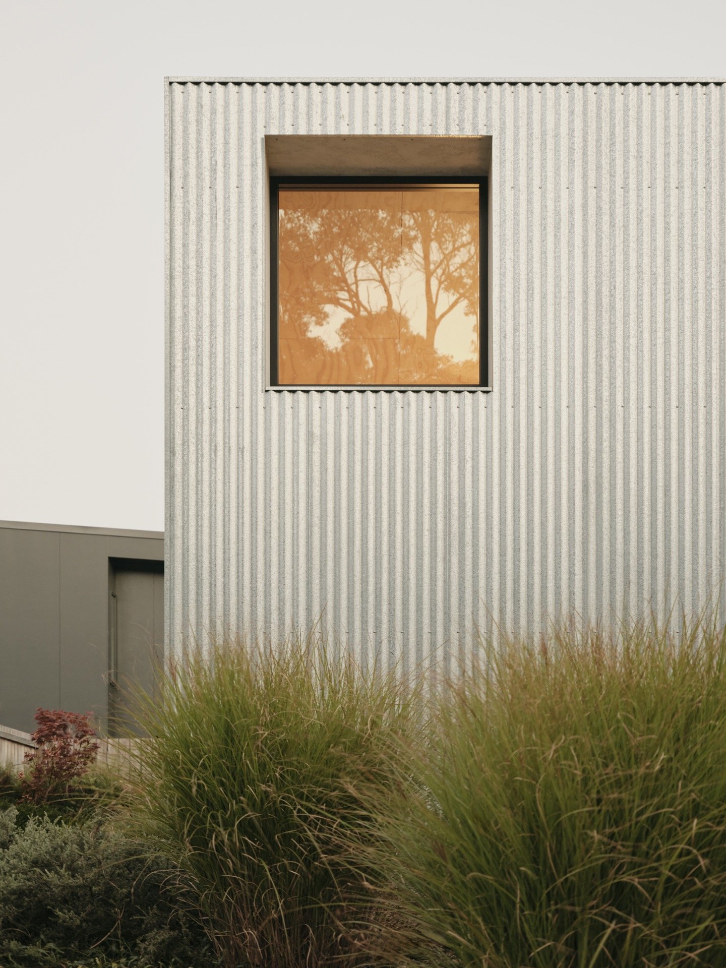 Modern house with a square window reflecting trees, surrounded by ornamental grasses and small shrubs.