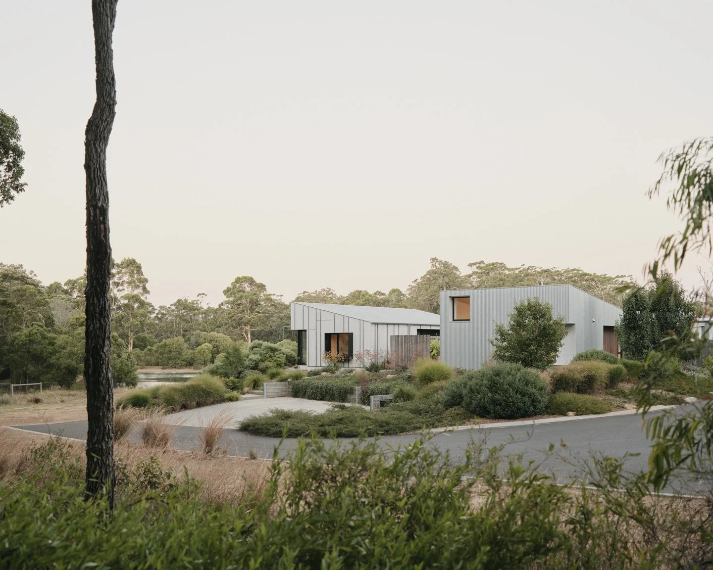 Modern house with metal siding surrounded by greenery and trees in a natural landscape.