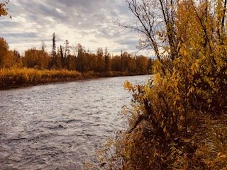 Clear Creek - October