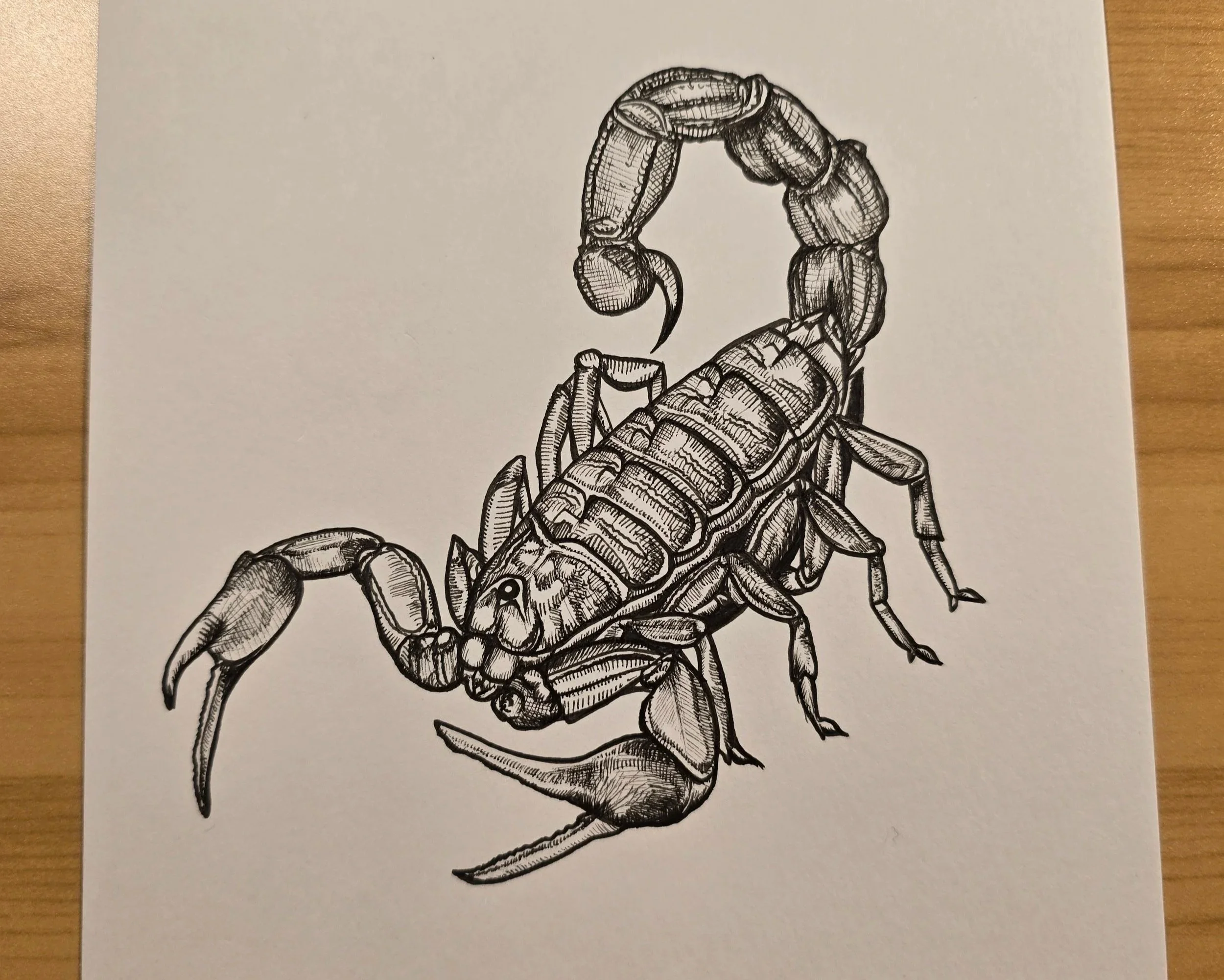 scorpion.jpg