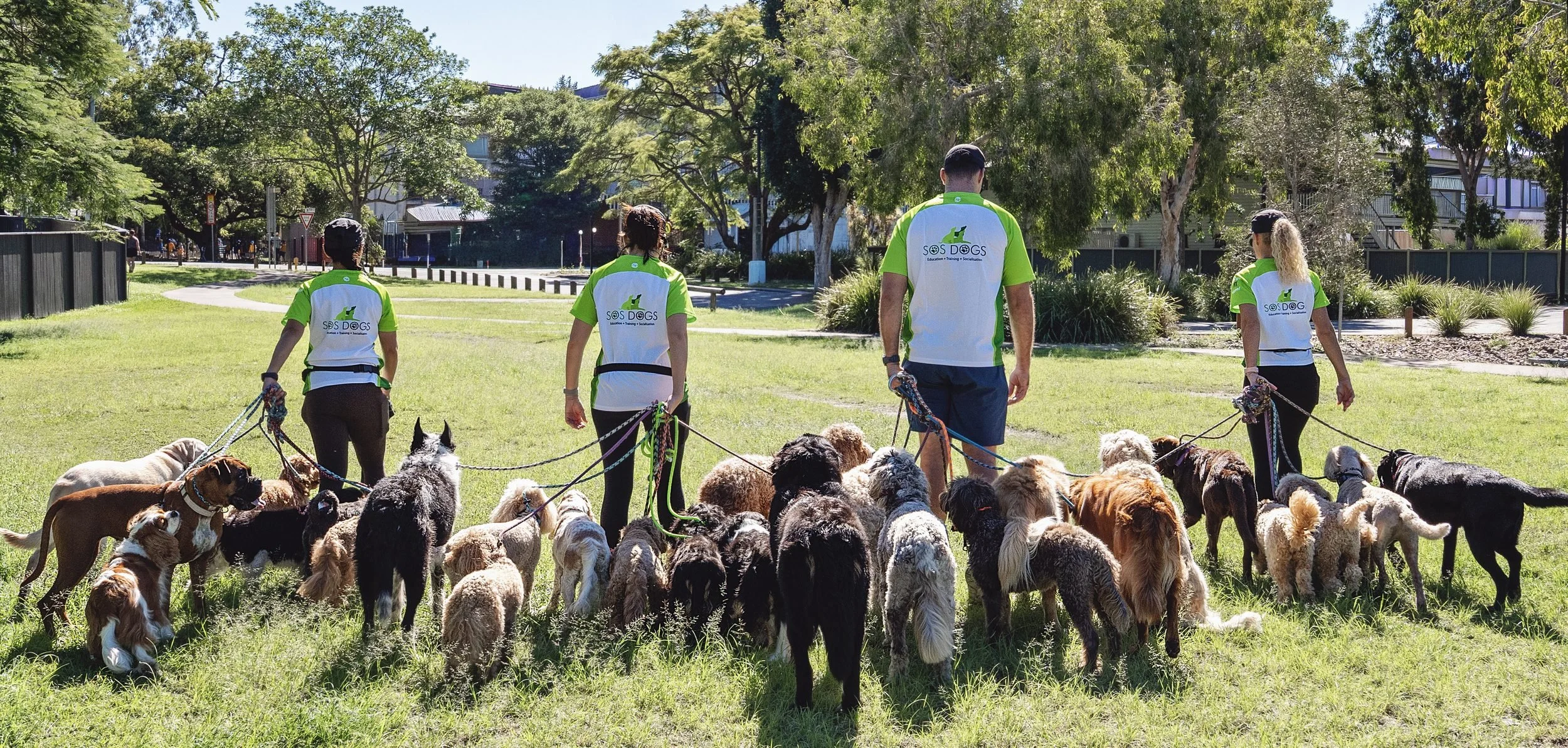 Loose Lead Walking: How to Enjoy Calm Walks with Your Dog